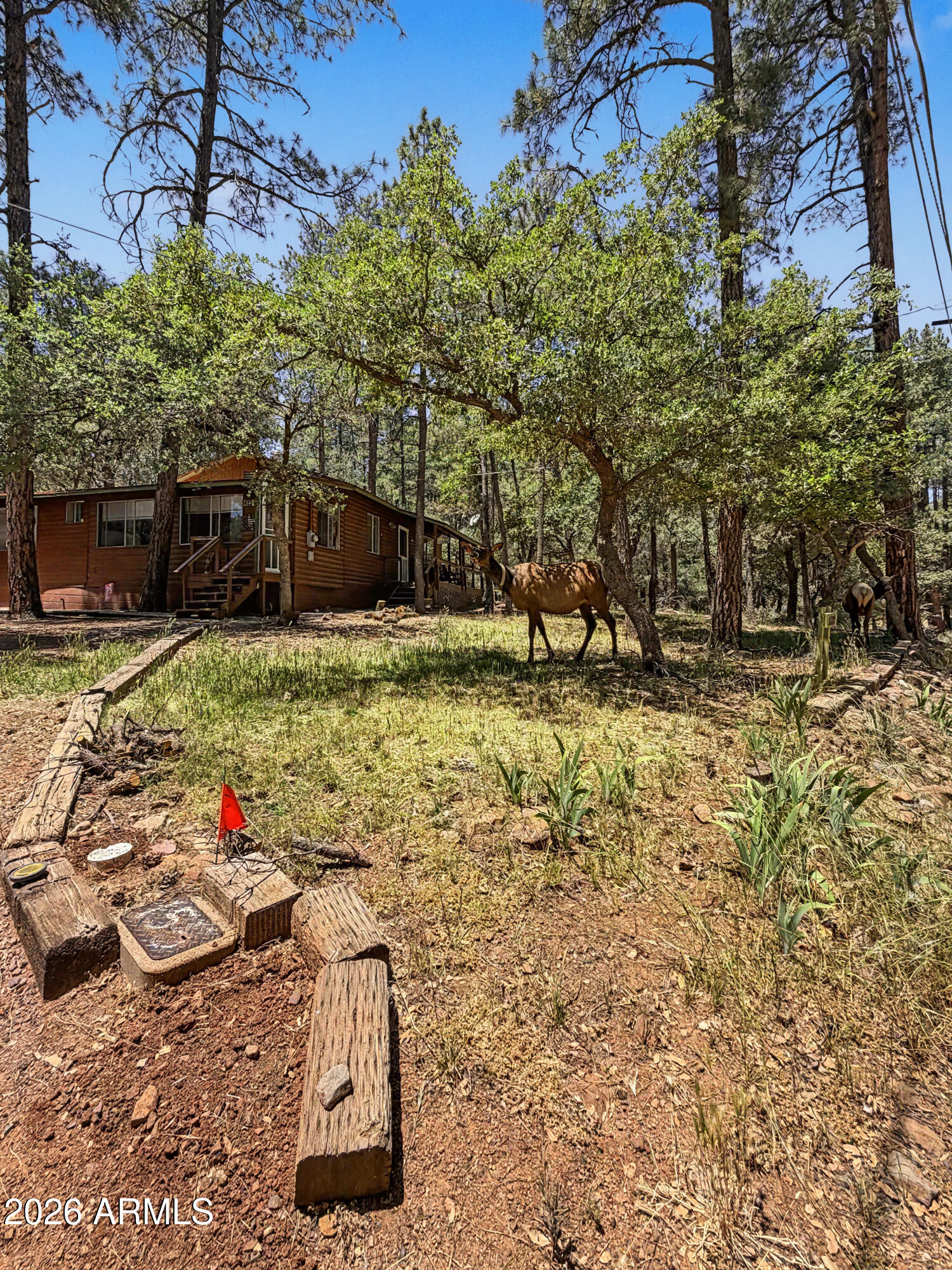 COOL PINES - Residential