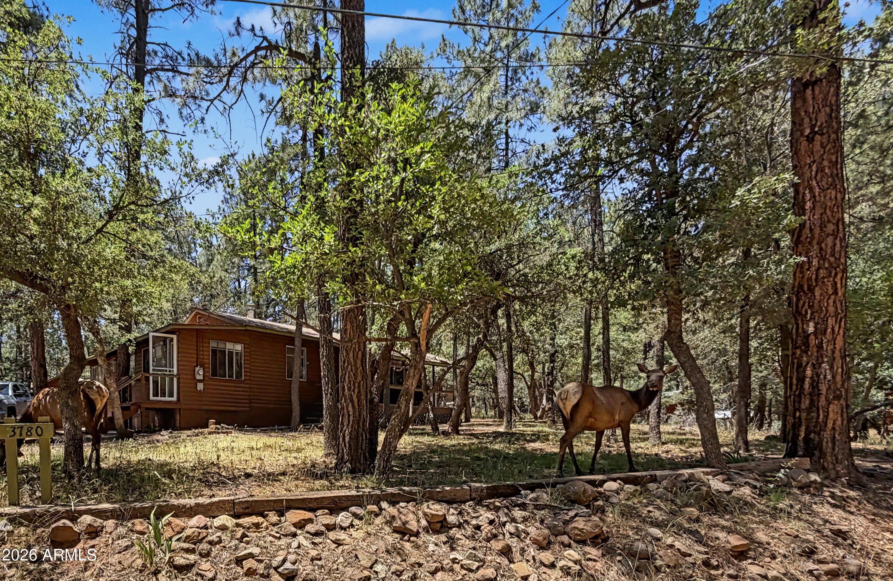 COOL PINES - Residential