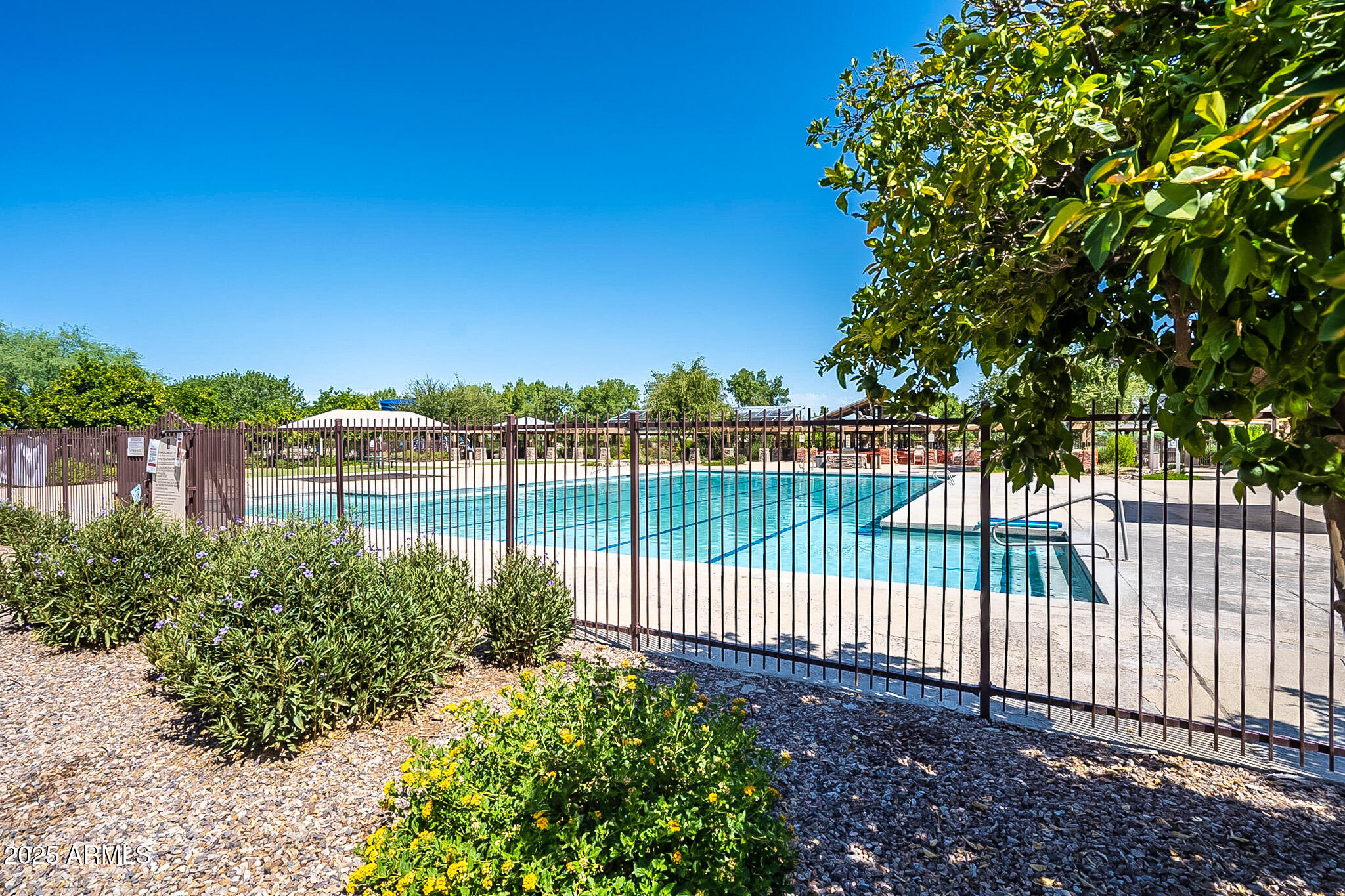 POWER RANCH - Residential Lease
