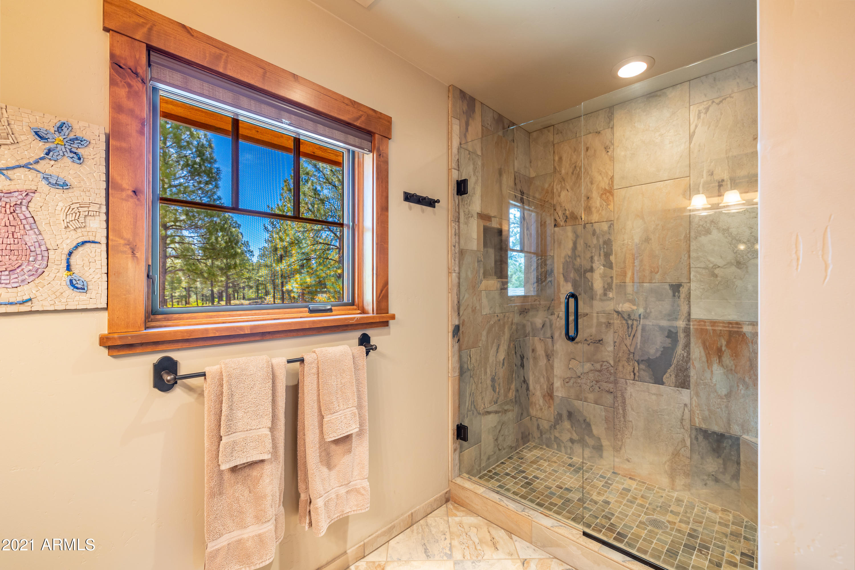 ESTATES AT PINE CANYON UNIT 4 - Residential