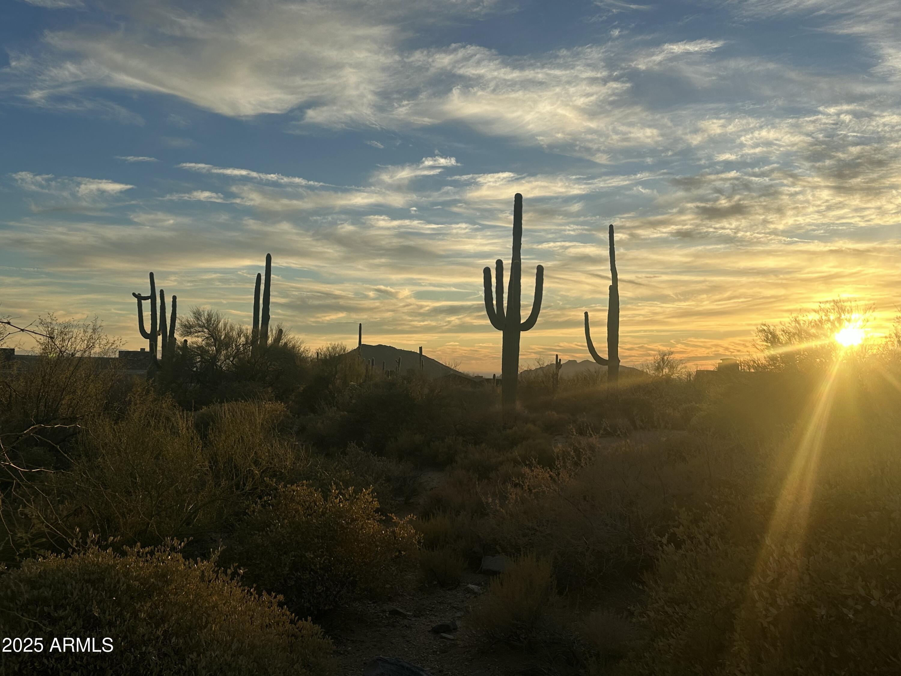 DESERT MOUNTAIN PHASE 3 UNIT 29 - Land