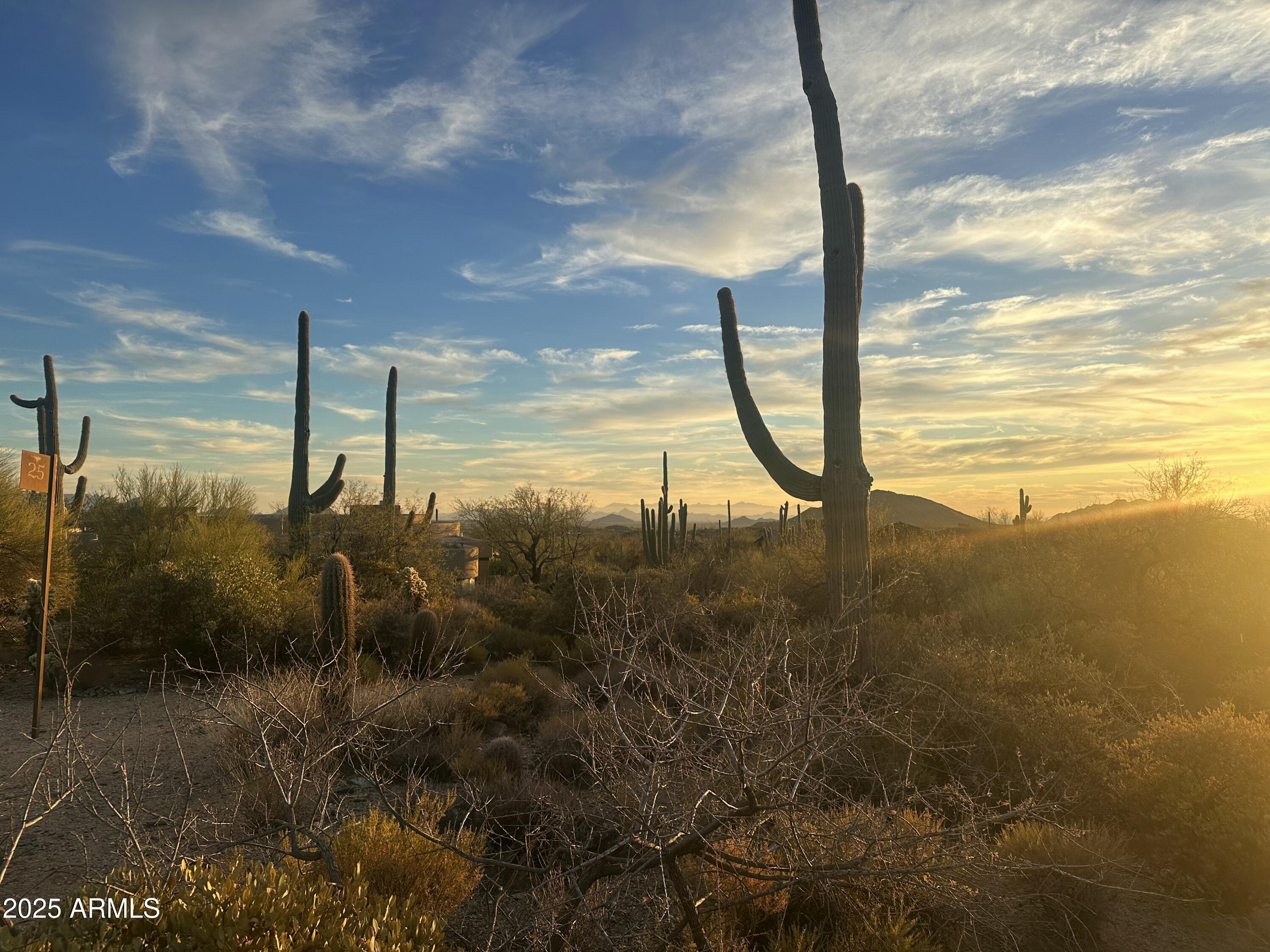 DESERT MOUNTAIN PHASE 3 UNIT 29 - Land