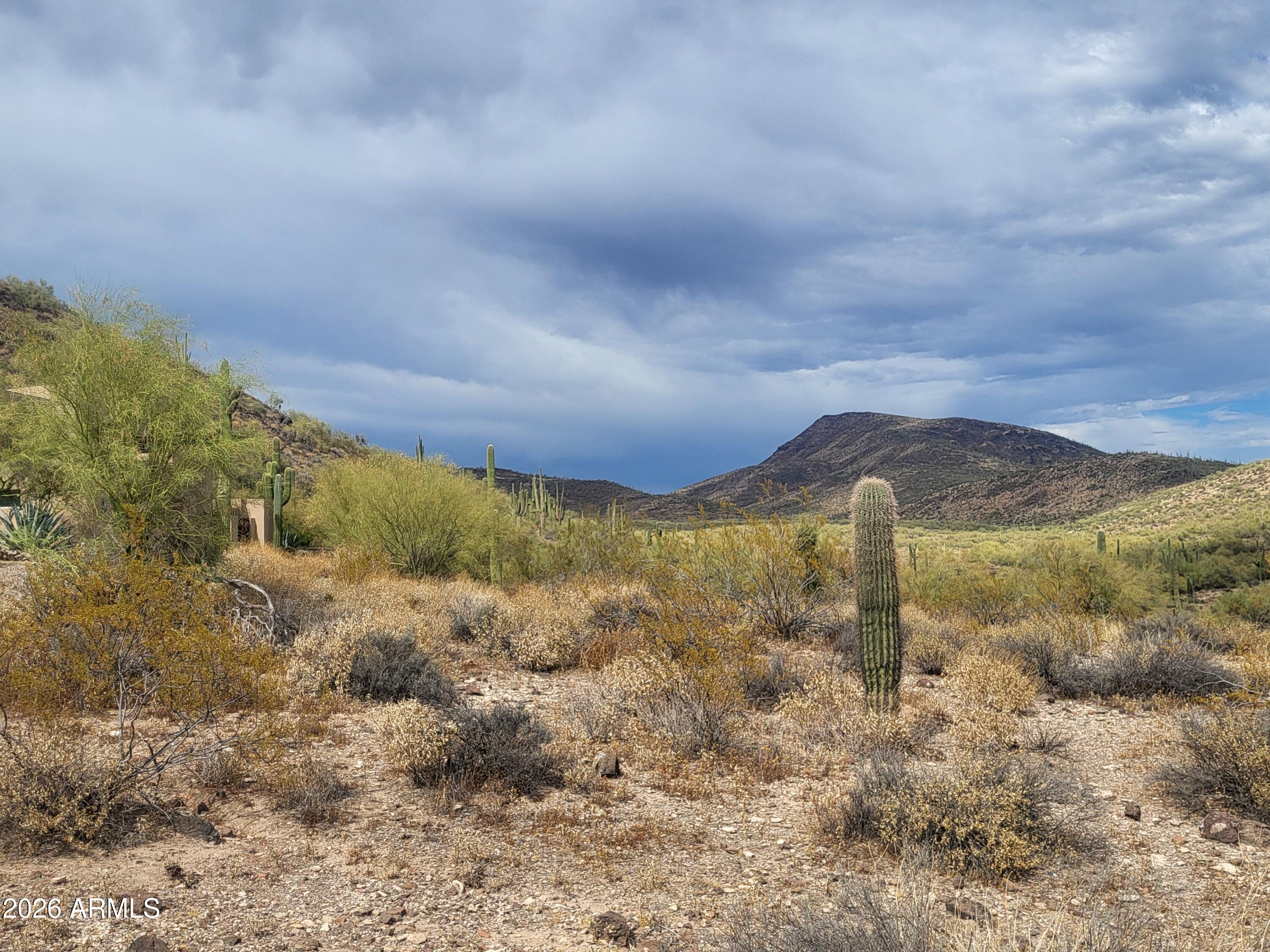 Circle Mountain Area - Land