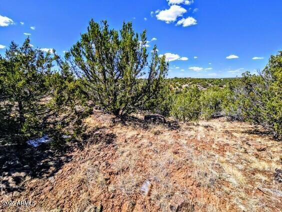 WHITE MOUNTAIN LAKES UNIT 11 - Land