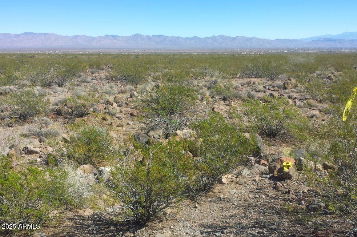Golden Sage Ranchos - Land