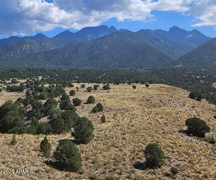 2.35 Acres with Mountain Views - Ready for Your Vision! This clean, level parcel offers the perfect blank canvas for your dream getaway, retirement retreat, or vacation property. With sweeping mountain views, it's ready for your building plans, RV or manufactured home, or even equestrian use. Located just 22 miles from the Colorado River, you'll have quick access to boating, fishing, and water recreation. Plus, you're perfectly situated for all your desert and city adventures: 26 miles to Bullhead City, 27 miles to Laughlin, NV (casinos & entertainment), 
28 miles to Kingman (county seat), 111 miles to Las Vegas, 183 miles to the Grand Canyon, 207 miles to Phoenix. Whether you're planning to build, retire, or create the ultimate RV vacation hub, this property checks all the boxes.
