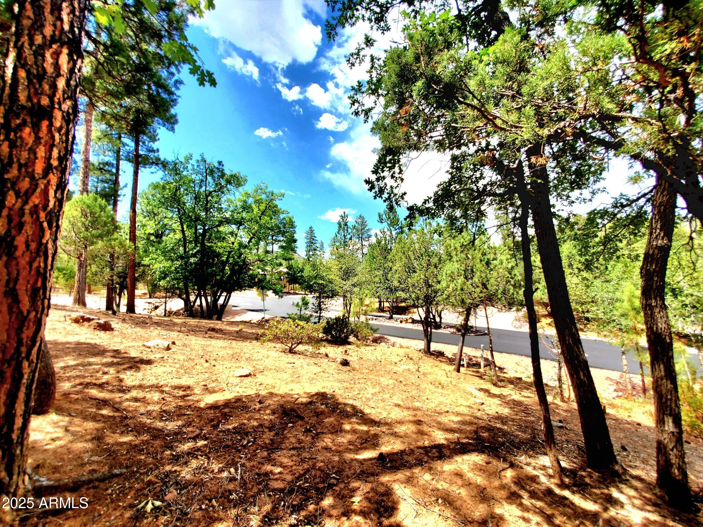 STRAWBERRY HOLLOW PHASE 1 - Land