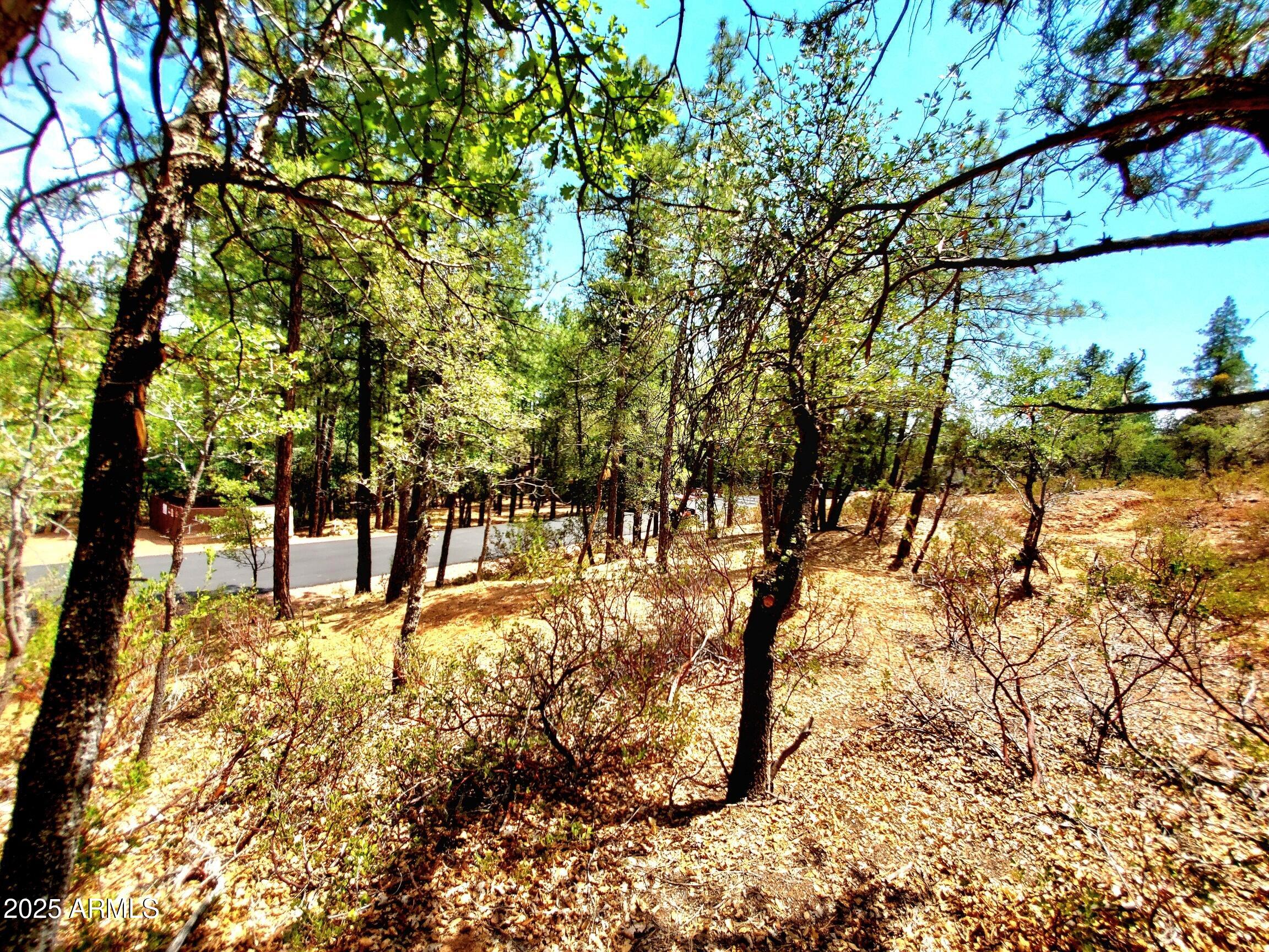 STRAWBERRY HOLLOW PHASE 1 - Land