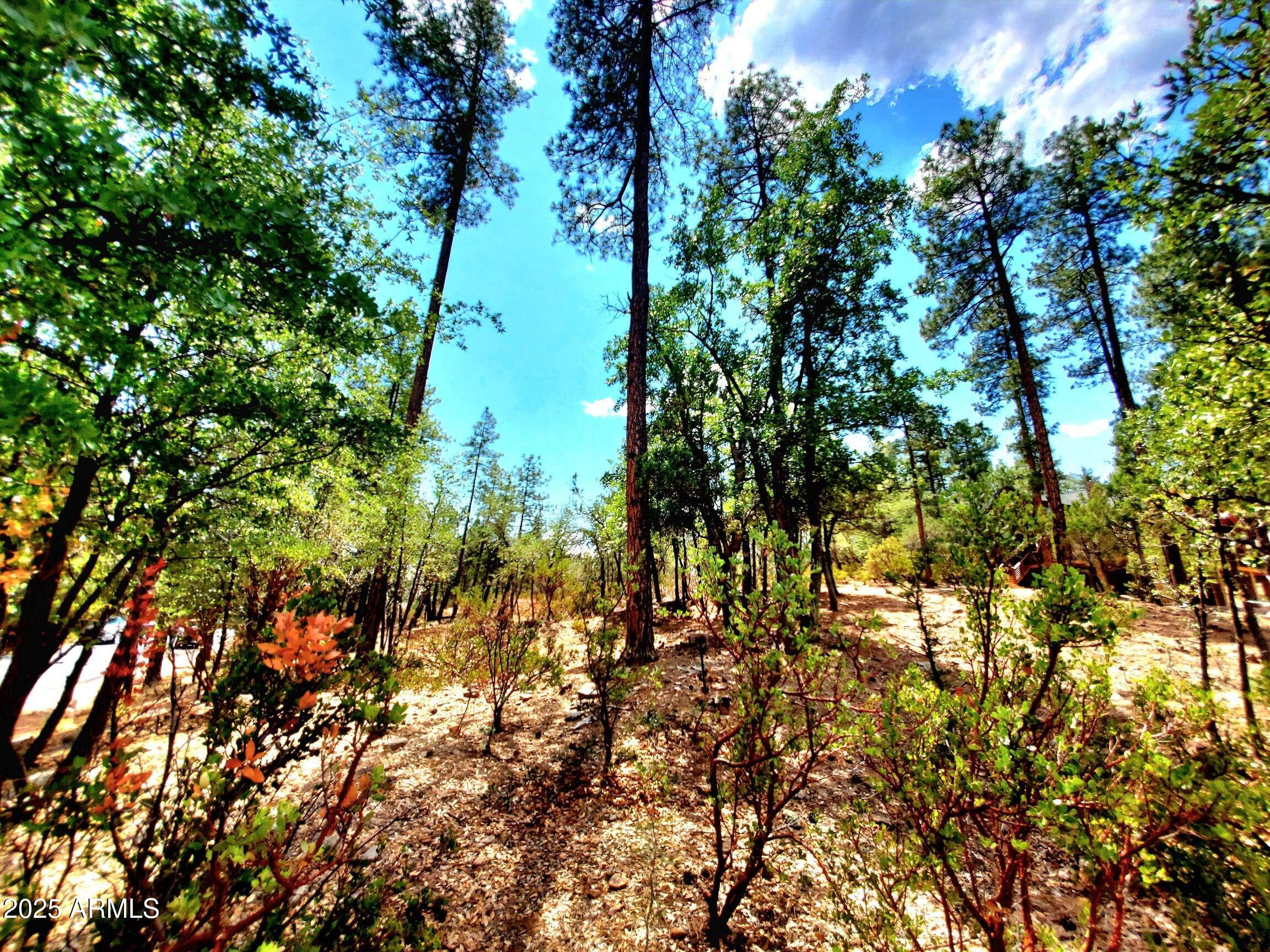 STRAWBERRY HOLLOW PHASE 1 - Land