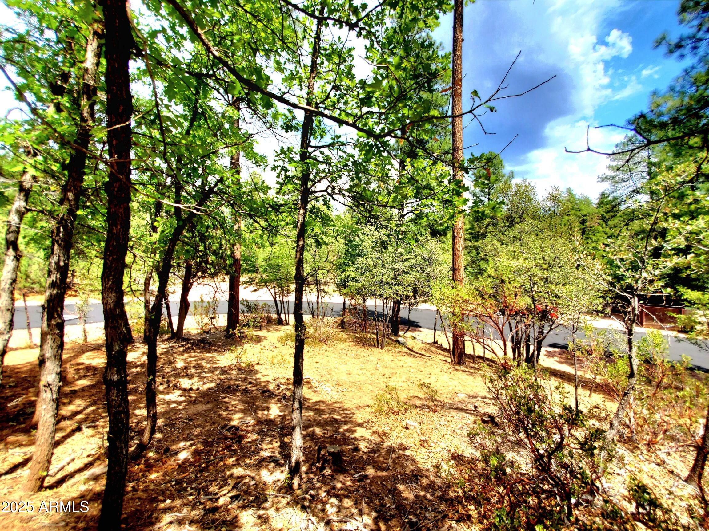 STRAWBERRY HOLLOW PHASE 1 - Land