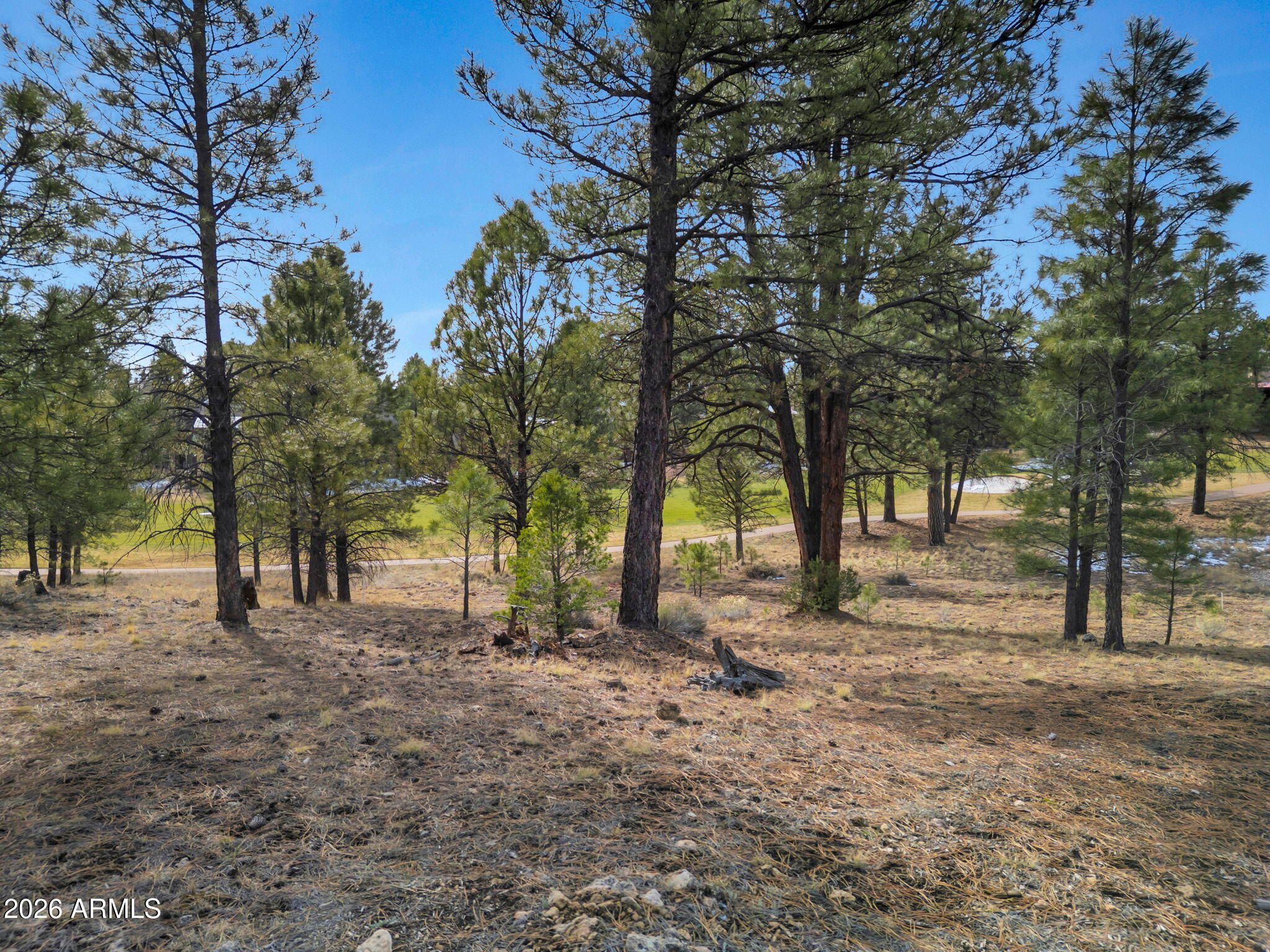 Pine Canyon - Land