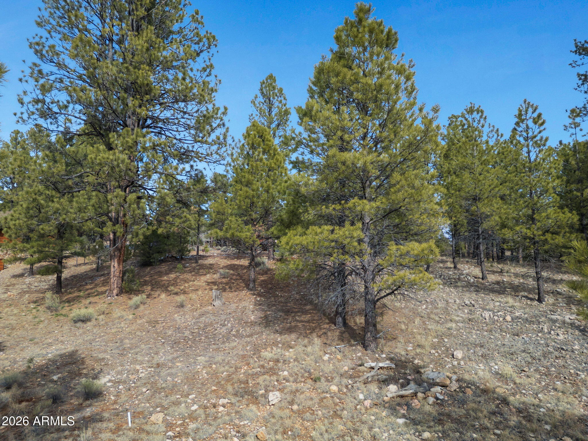 Pine Canyon - Land