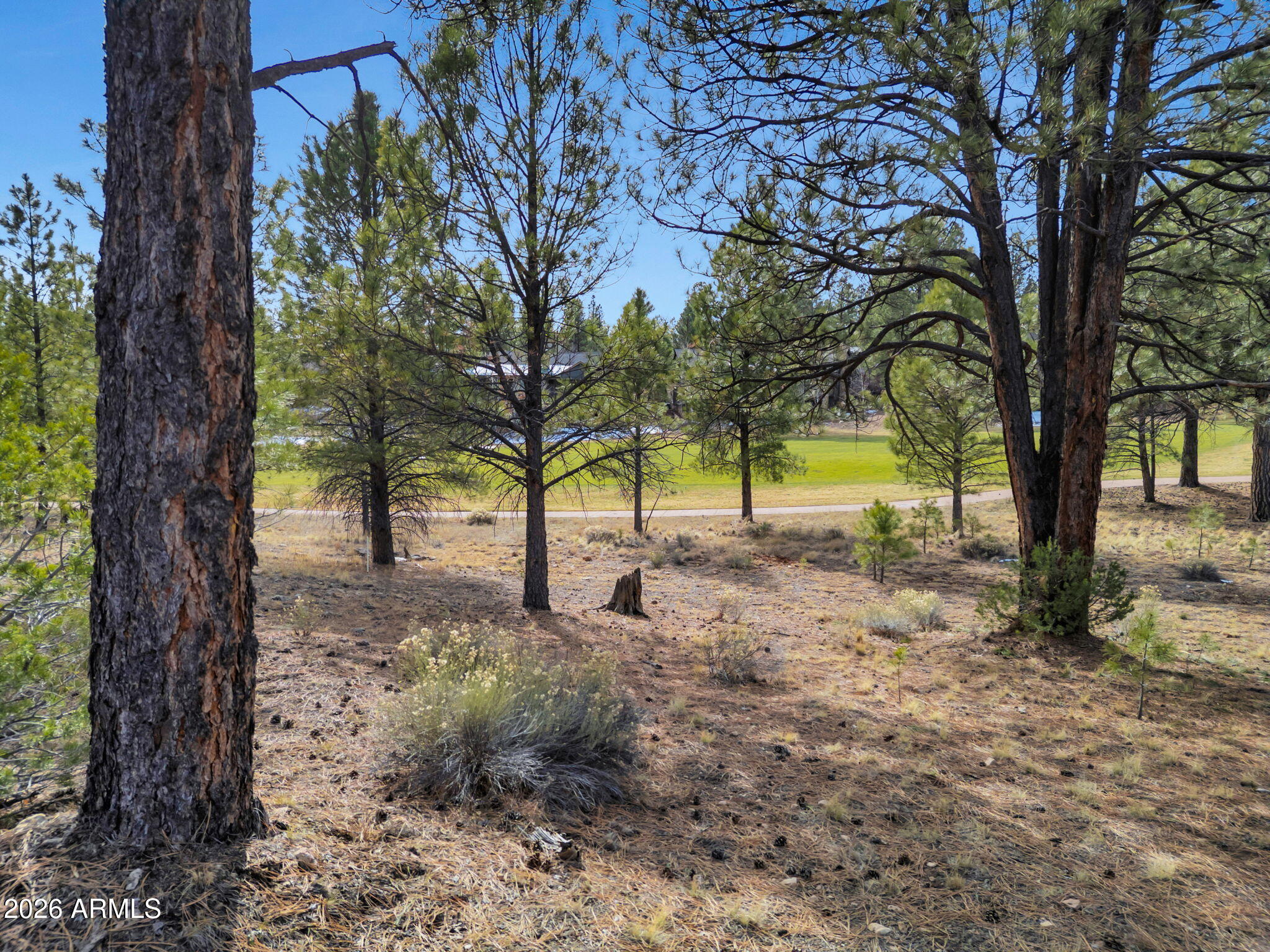 Pine Canyon - Land