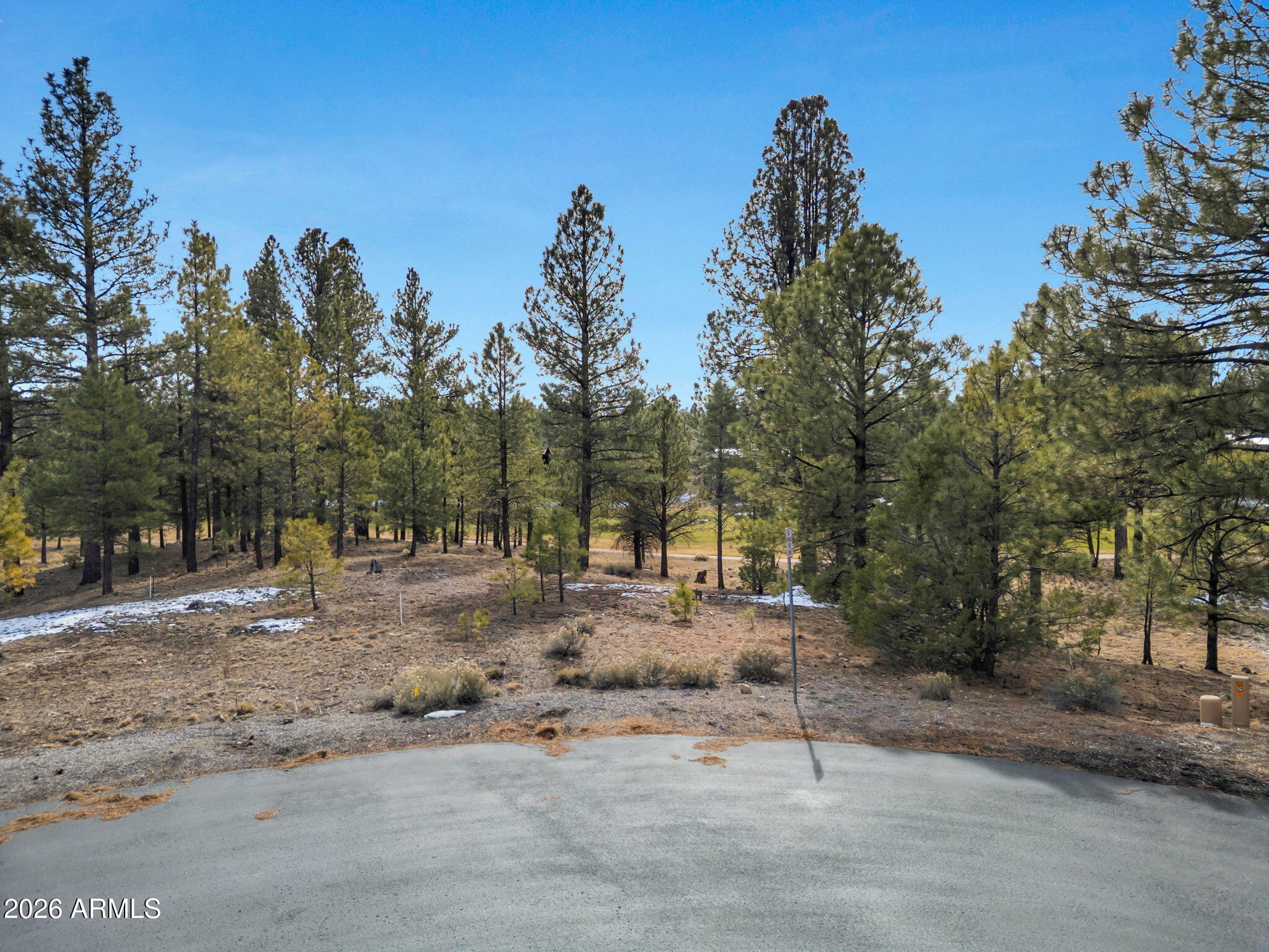 Pine Canyon - Land