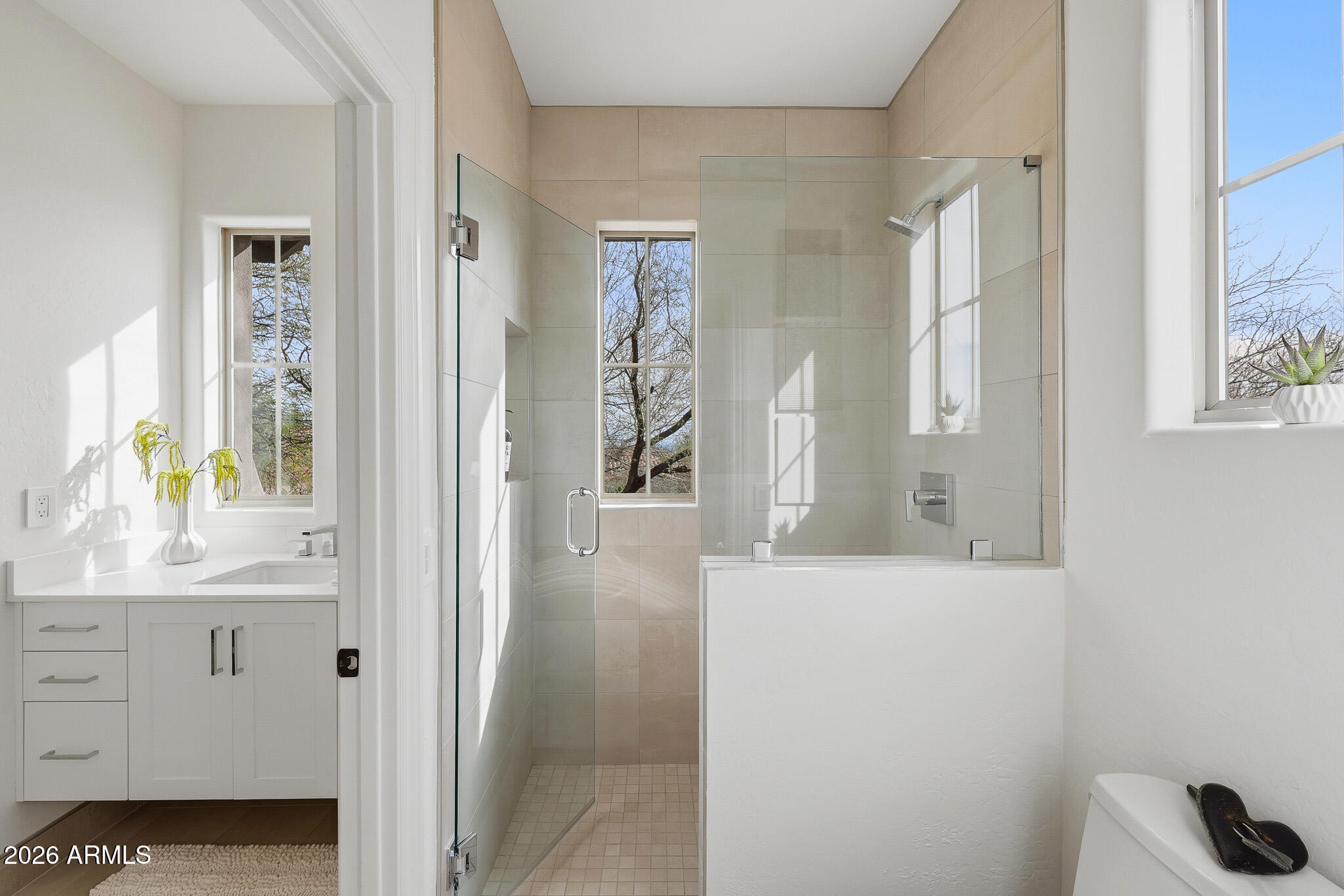 DC RANCH PARCEL 2.13/2.14 - Residential