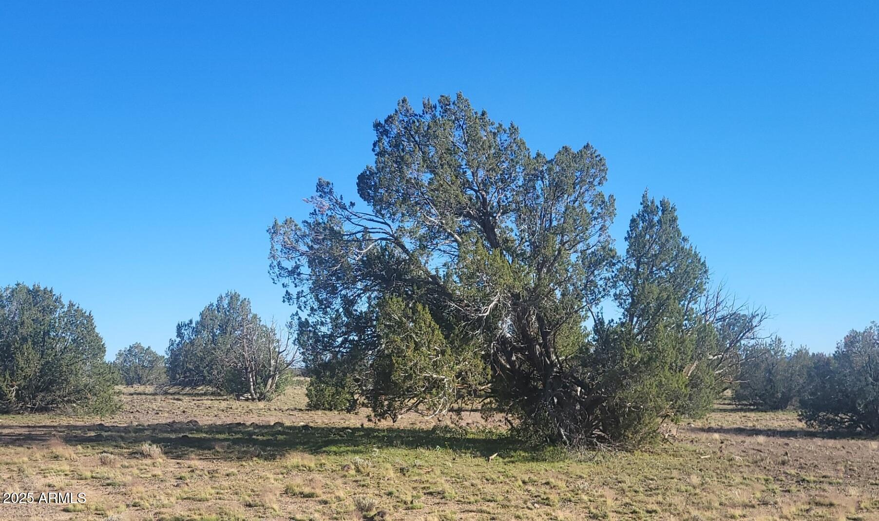 Juniperwood Ranch - Land