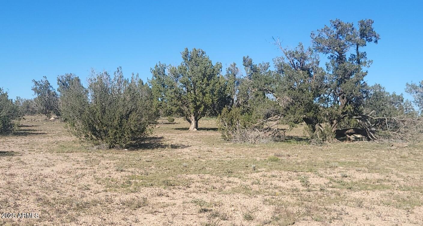 Juniperwood Ranch - Land