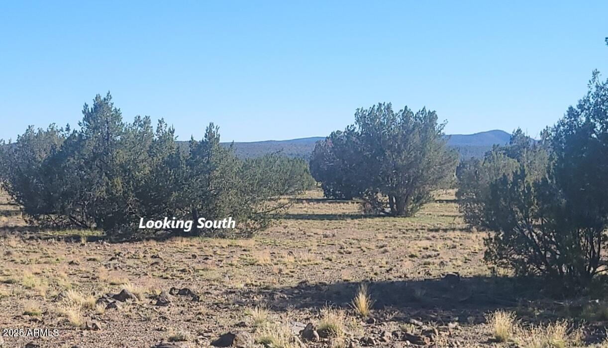 Juniperwood Ranch - Land