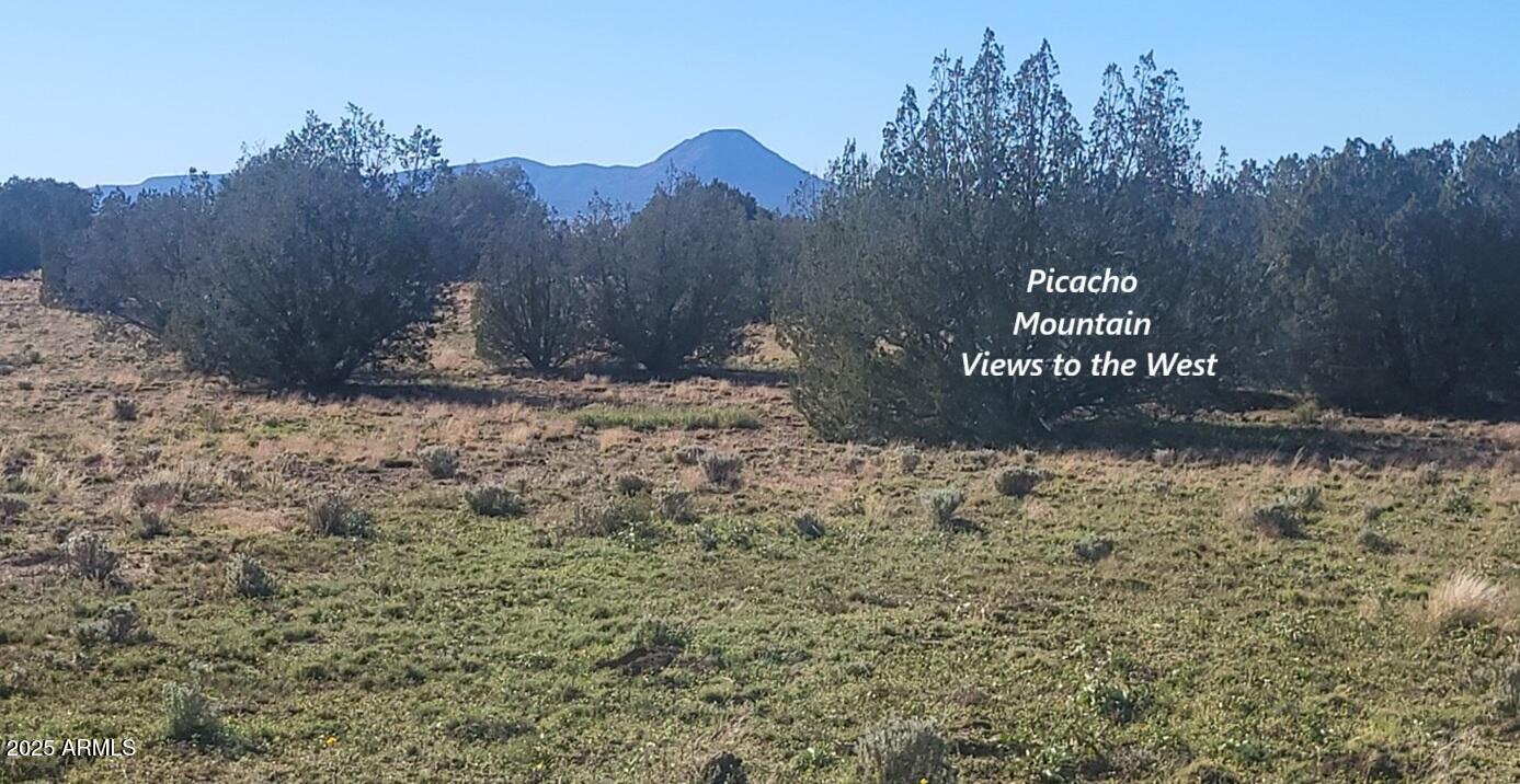 Juniperwood Ranch - Land