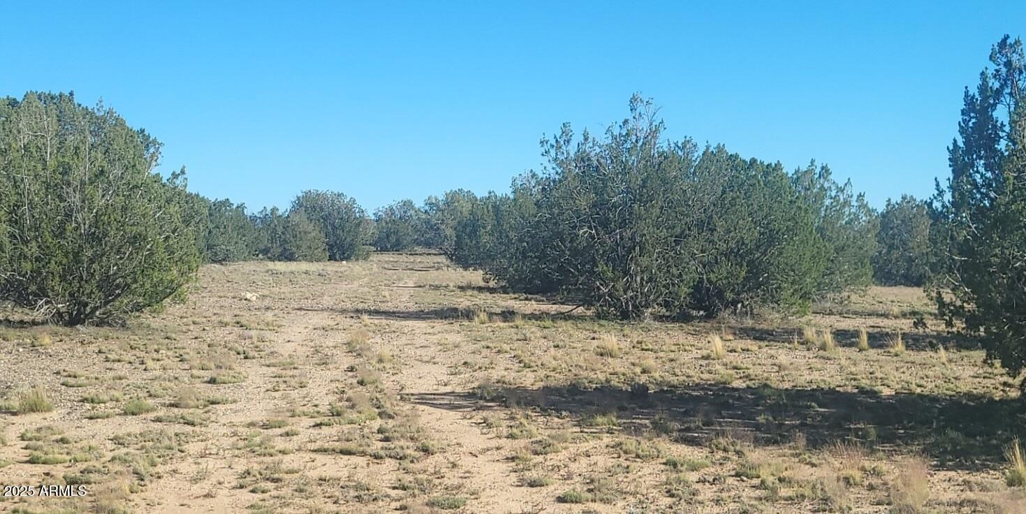 Juniperwood Ranch - Land