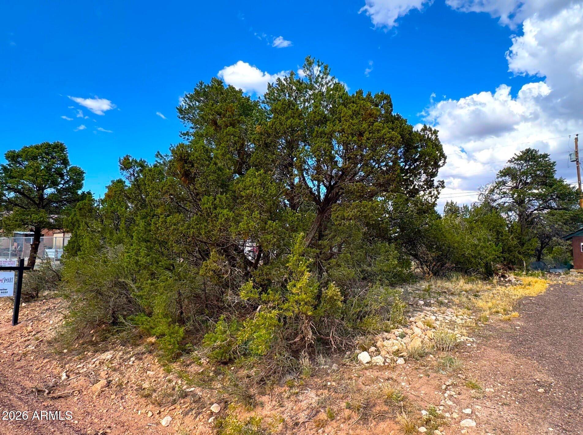 TIMBERLAKE PINES UNIT 7 - Land
