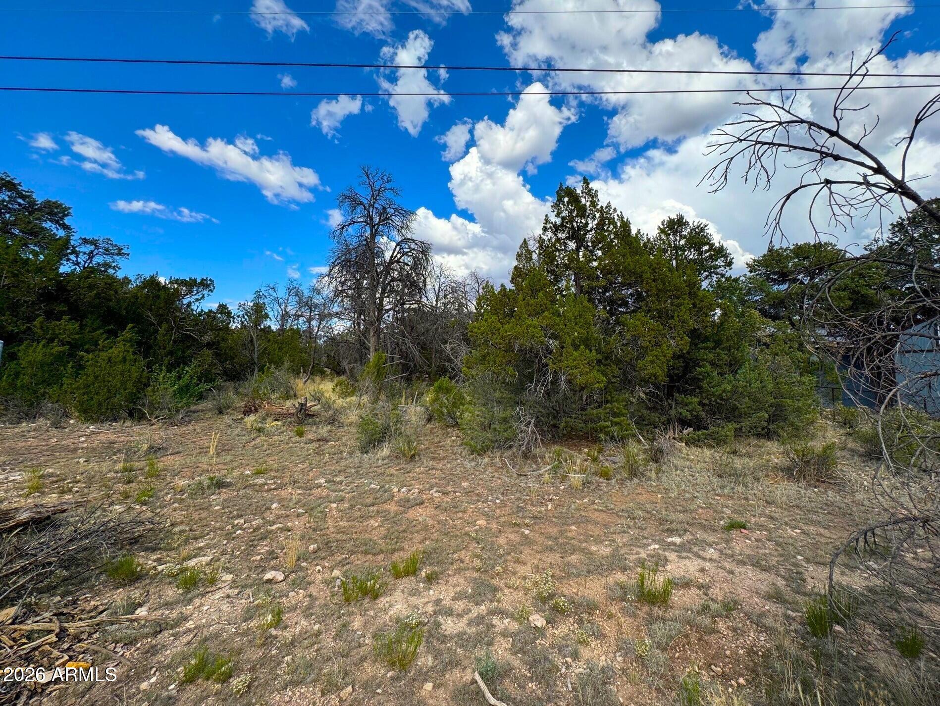 TIMBERLAKE PINES UNIT 7 - Land