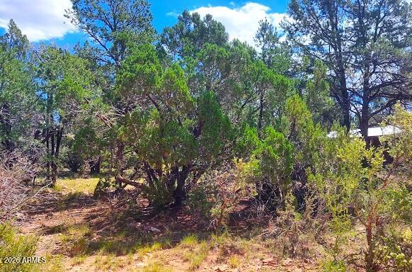 TIMBERLAKE PINES UNIT 7 - Land