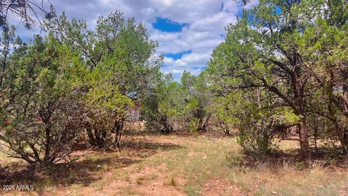 It's Way Past Time to Escape The Desert Heat! Where else can you OWN a cabin site for 30K to share w/FAMILY & FRIENDS? Welcome to a New Future w/COOL Temps, Afternoon Rains, No Traffic Lights, CLEAN Mountain Air, STAR Filled Nights, Abundant WILDLIFE, Friendly Neighbors & a Reason to LIVE OUTSIDE. Few lots left in this neighborhood creating a ''Supply & Demand'' situation. INVESTORS, expand your portfolio. Taxes are nil meaning LOW HOLDING COST. Community features well maintained roads, native pines, no street lights, & herds of deer & elk will fill your photo album. The owners have received verbal offers for this lot. Now, they have decided to sell. Check out the pics, google earth the address & explore the streets of Heber Overgaard. You Deserve This. WILL NOT LAST! DO NOT PROCRASTINATE!