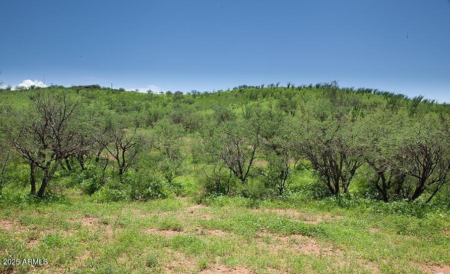 SONOITA CREEK RANCH 2 - Land