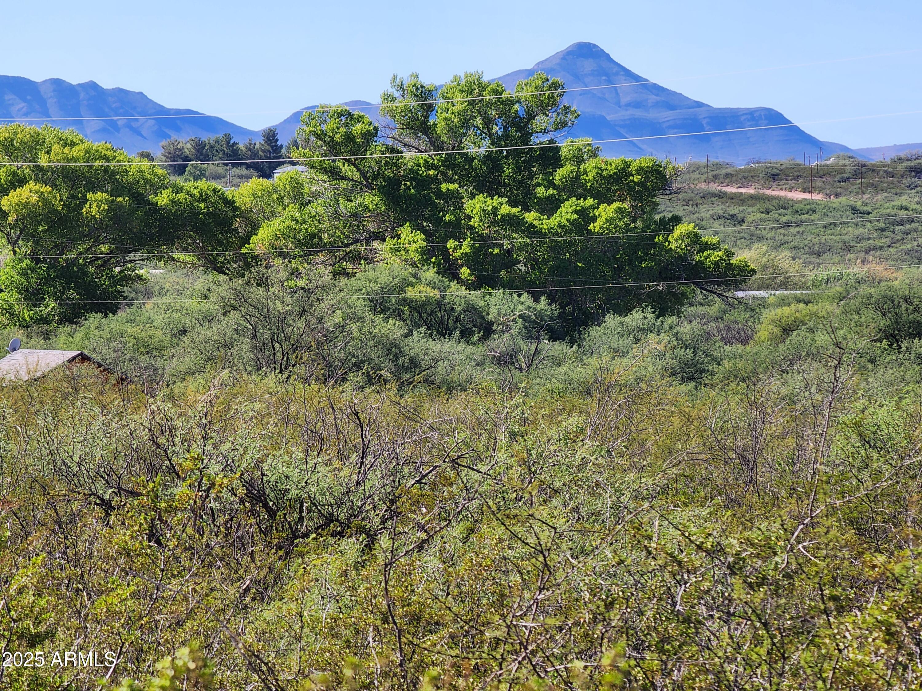 Experience country living at its best with breathtaking views! This 4.25-acre flat lot sits near the Babocomari River and offers no HOA plus a 1/3 well share. Conveniently located on a county-maintained road, just under 3 miles from SR-82 and less than a mile off pavement. Perfect for your manufactured home or custom-built dream home, this quiet and peaceful parcel provides the ideal setting to enjoy wide-open space and natural beauty.