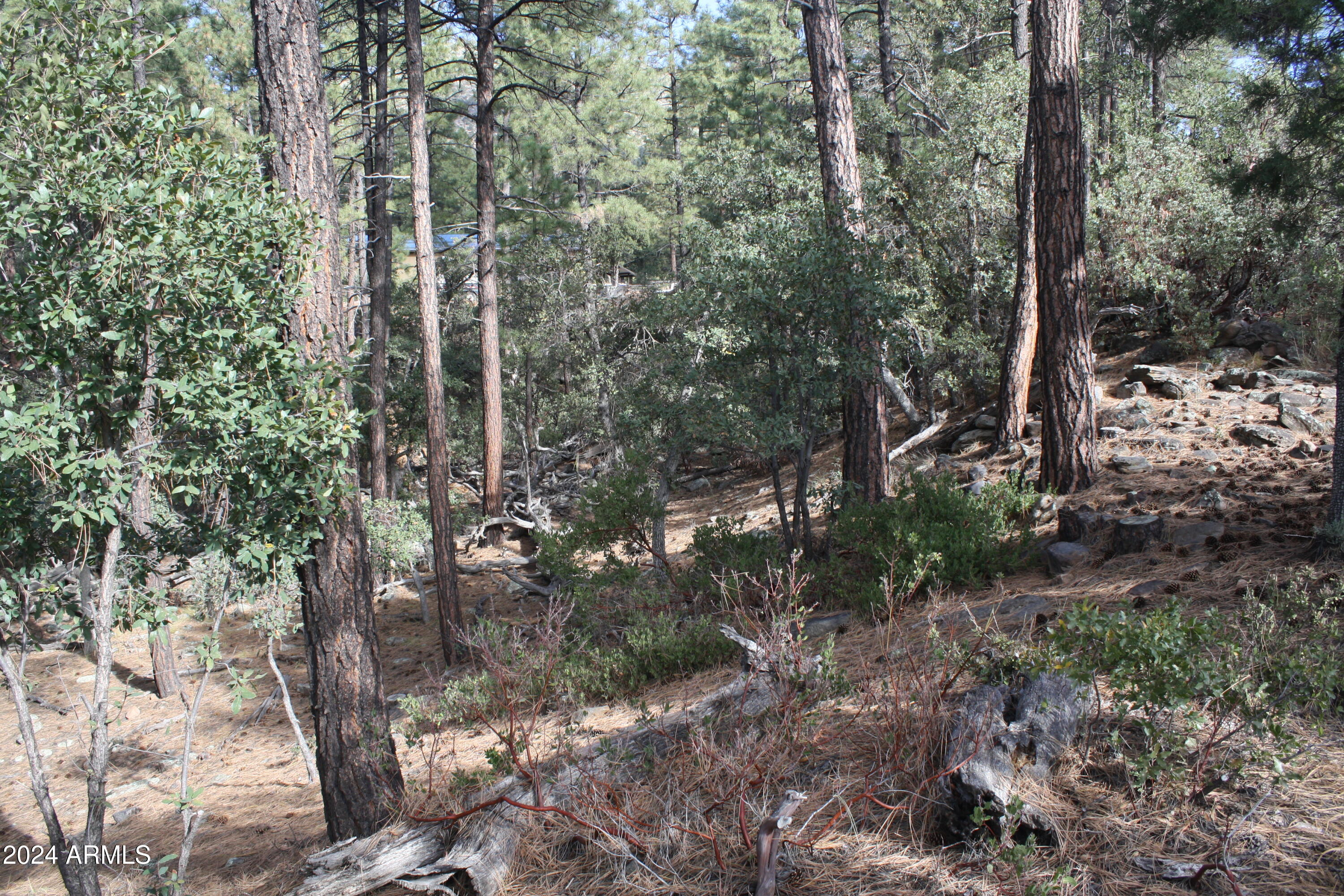 PINE CREEK CANYON PORTAL 4 - Land