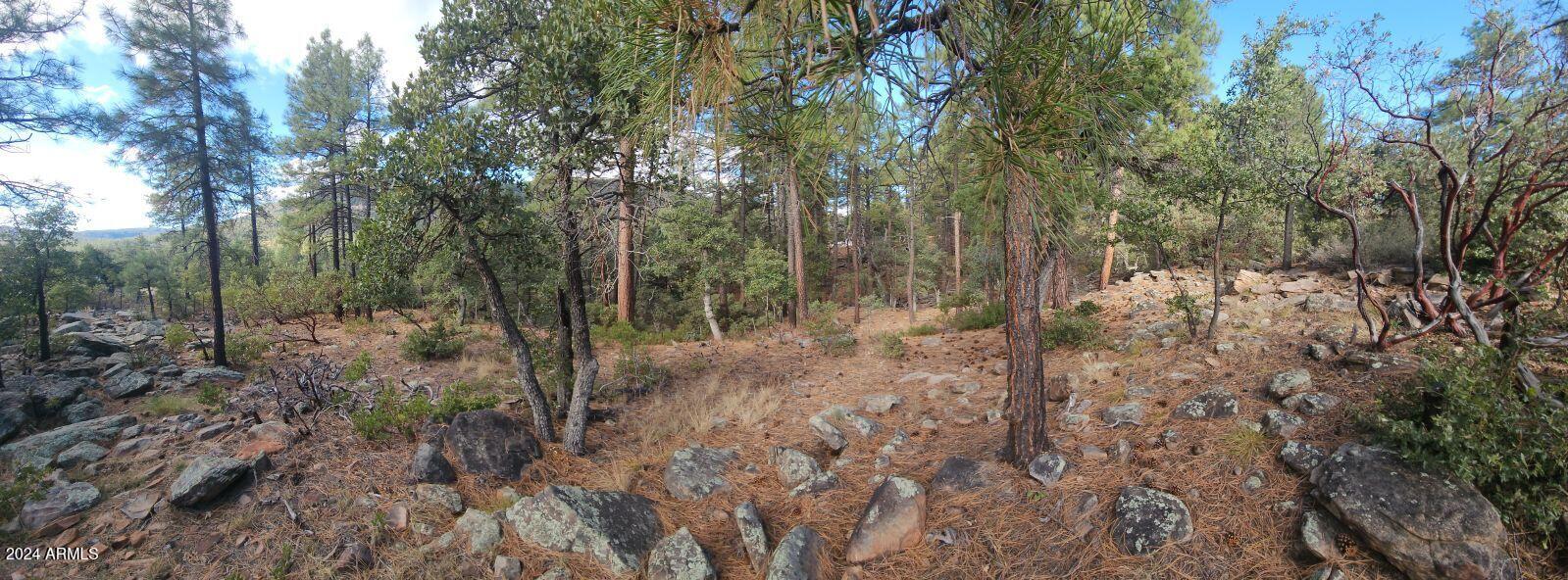 PINE CREEK CANYON PORTAL 4 - Land