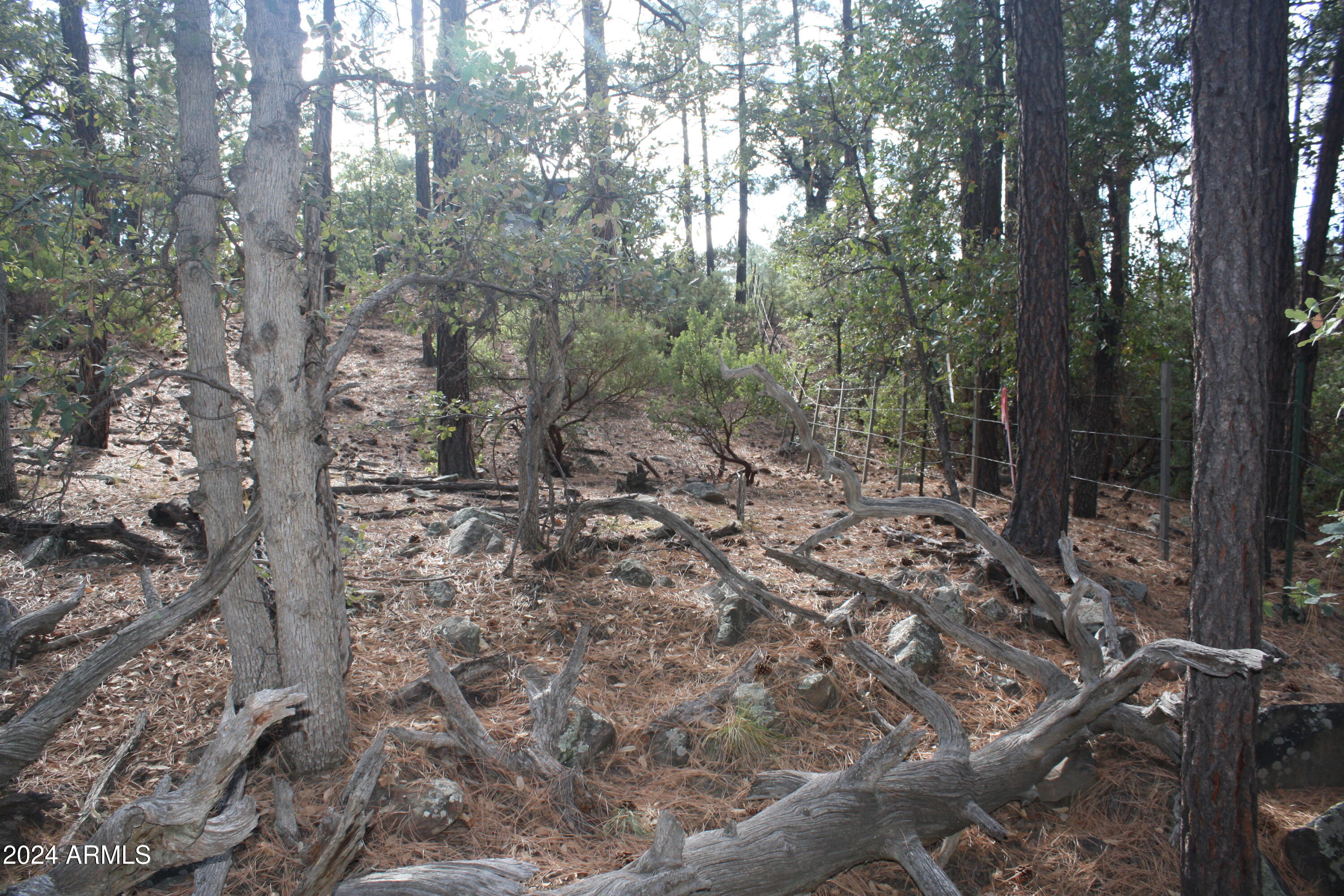 PINE CREEK CANYON PORTAL 4 - Land