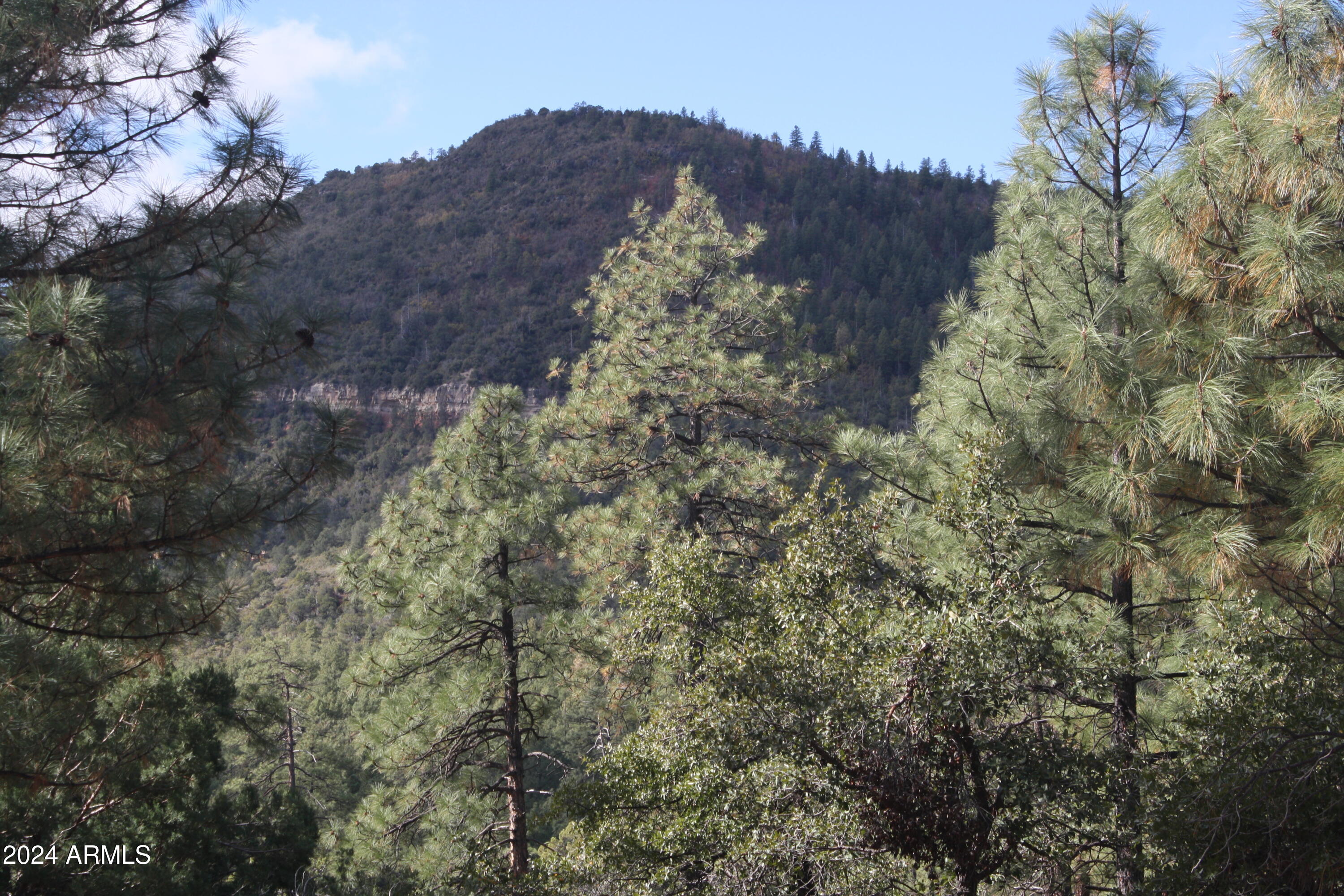 PINE CREEK CANYON PORTAL 4 - Land