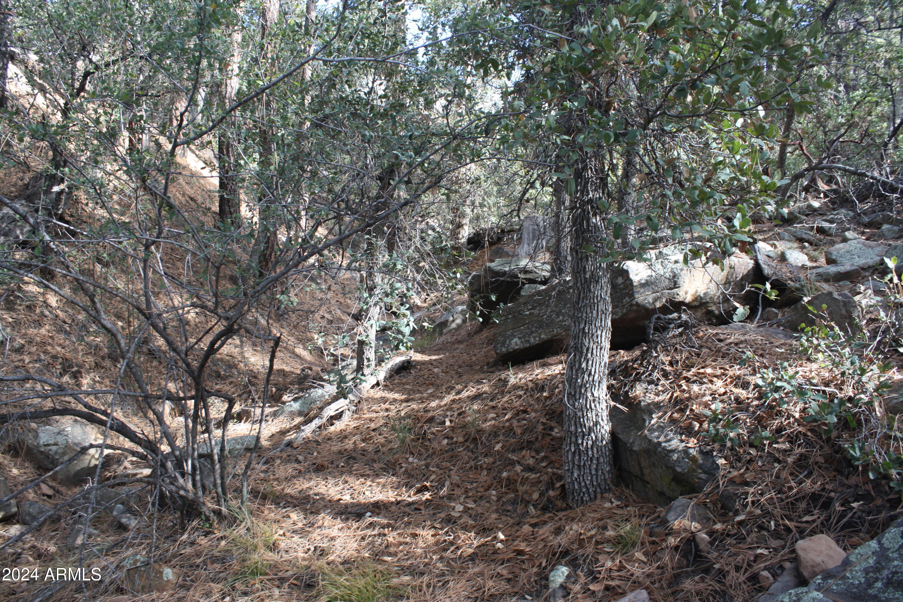 PINE CREEK CANYON PORTAL 4 - Land