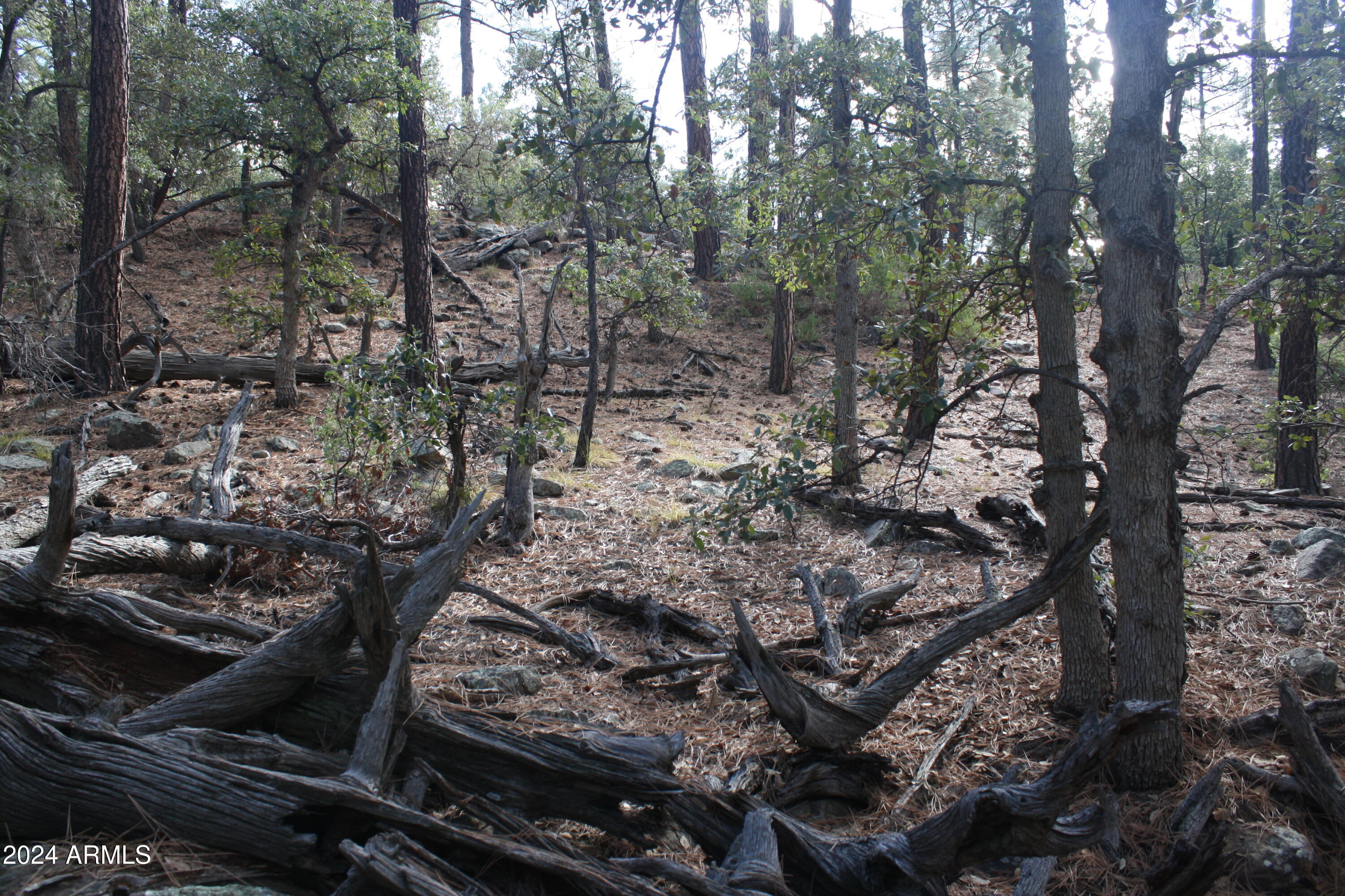 PINE CREEK CANYON PORTAL 4 - Land