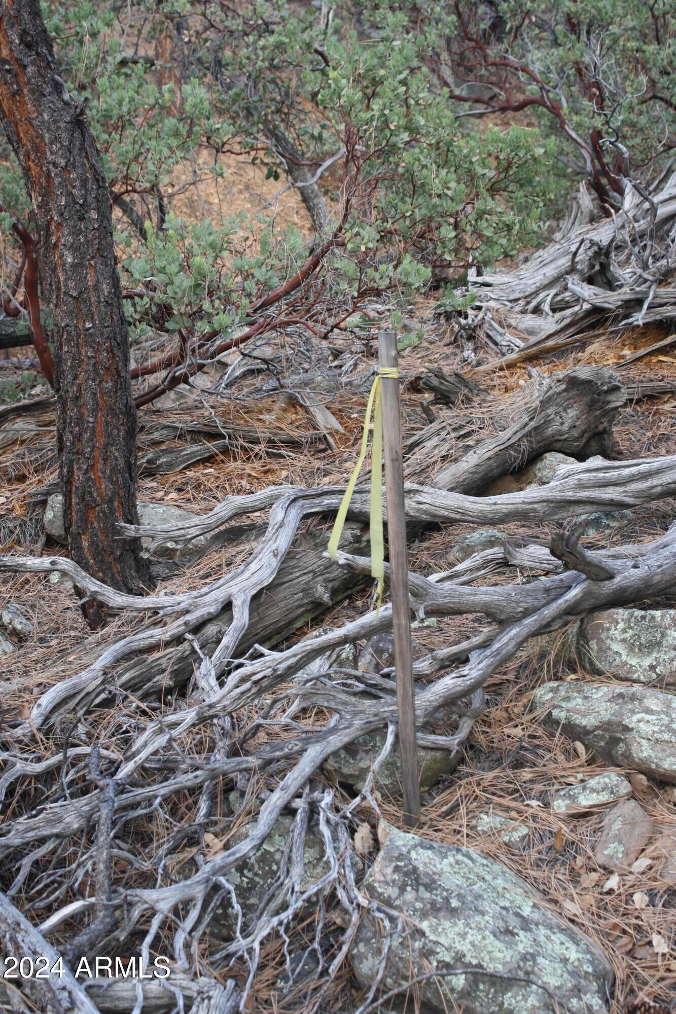 PINE CREEK CANYON PORTAL 4 - Land