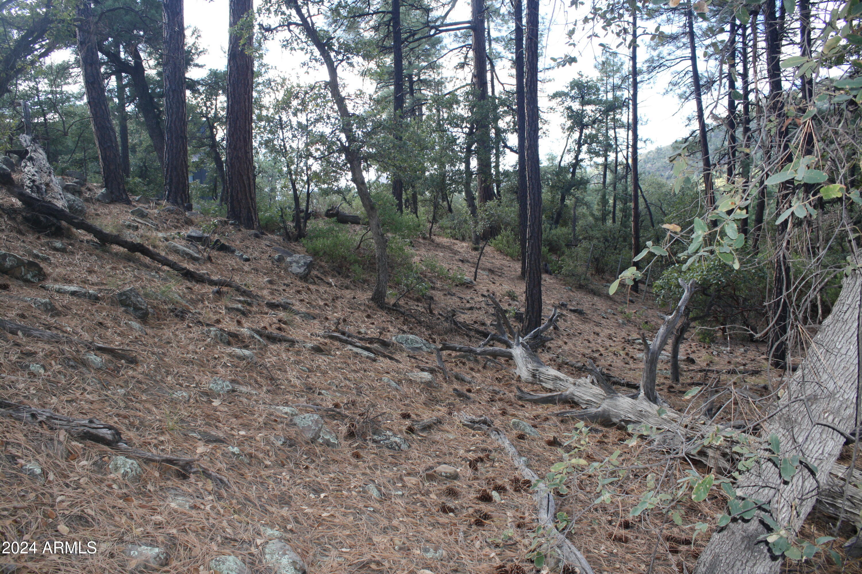 PINE CREEK CANYON PORTAL 4 - Land