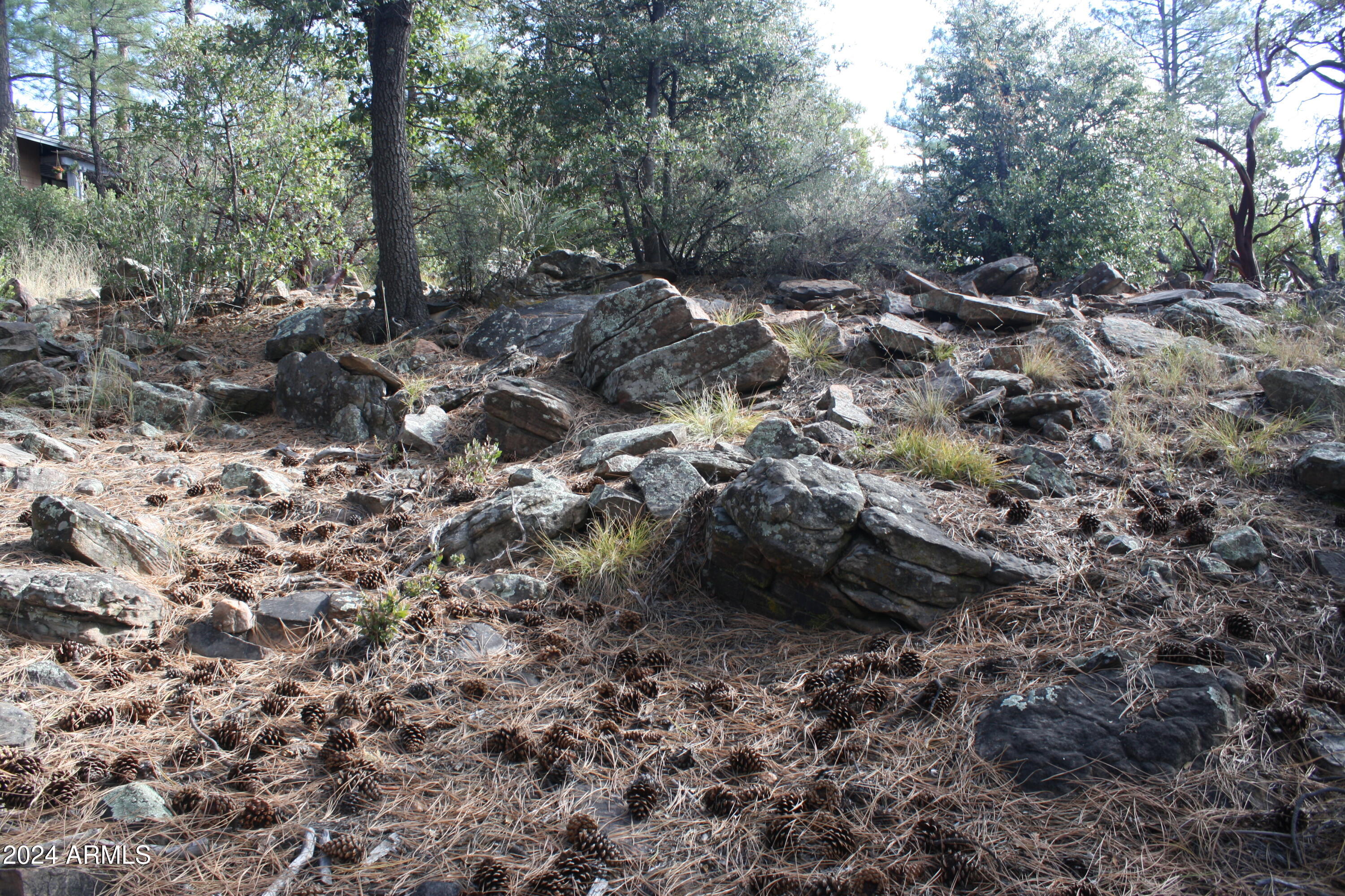 PINE CREEK CANYON PORTAL 4 - Land