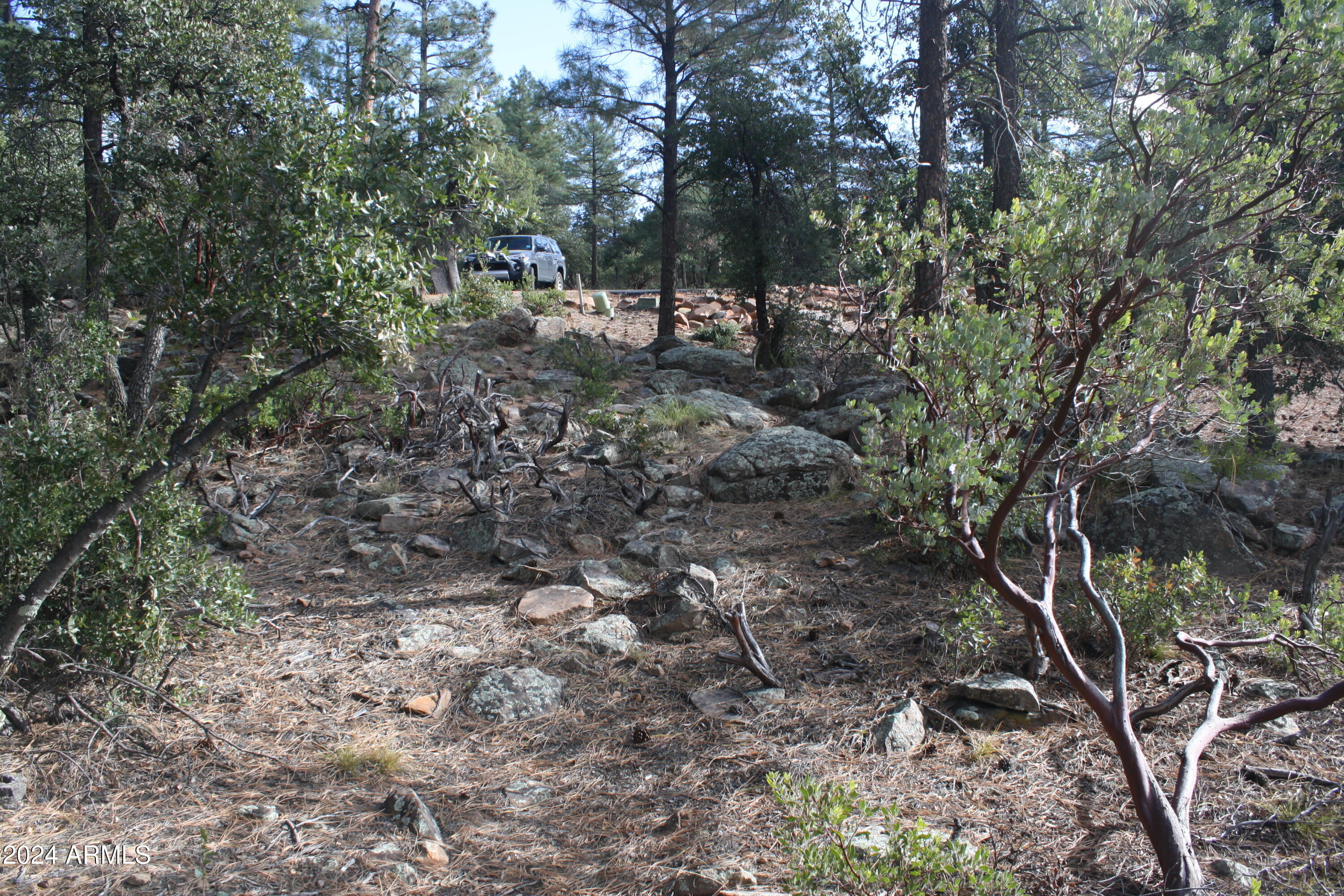 PINE CREEK CANYON PORTAL 4 - Land