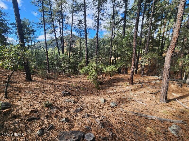 Nestled in the heart of the scenic Portal 4 Pine Creek subdivision, this stunning wooded homesite offers the perfect opportunity to build your dream home in one of Pine,  Preliminary plans available and fire department have already approved the build out. This community has its own WATER, gas and waste station which is rare in the area.   Situated on a peaceful, quiet street surrounded by towering Ponderosa pines and native foliage, this sloping lot boasts incredible privacy and natural beauty. The land features mature vegetation, varied terrain, paved road access, and fantastic mountain views. With nice homes already built in this platted subdivision, you'll find public utilities at the property line. Pine's most desirable neighborhoods. See documents tab for plans