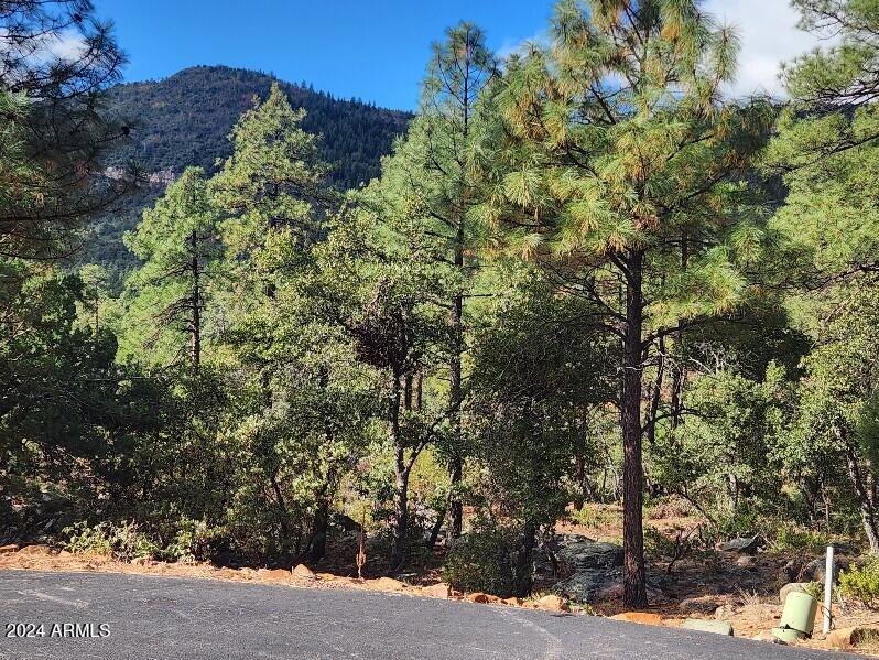 PINE CREEK CANYON PORTAL 4 - Land