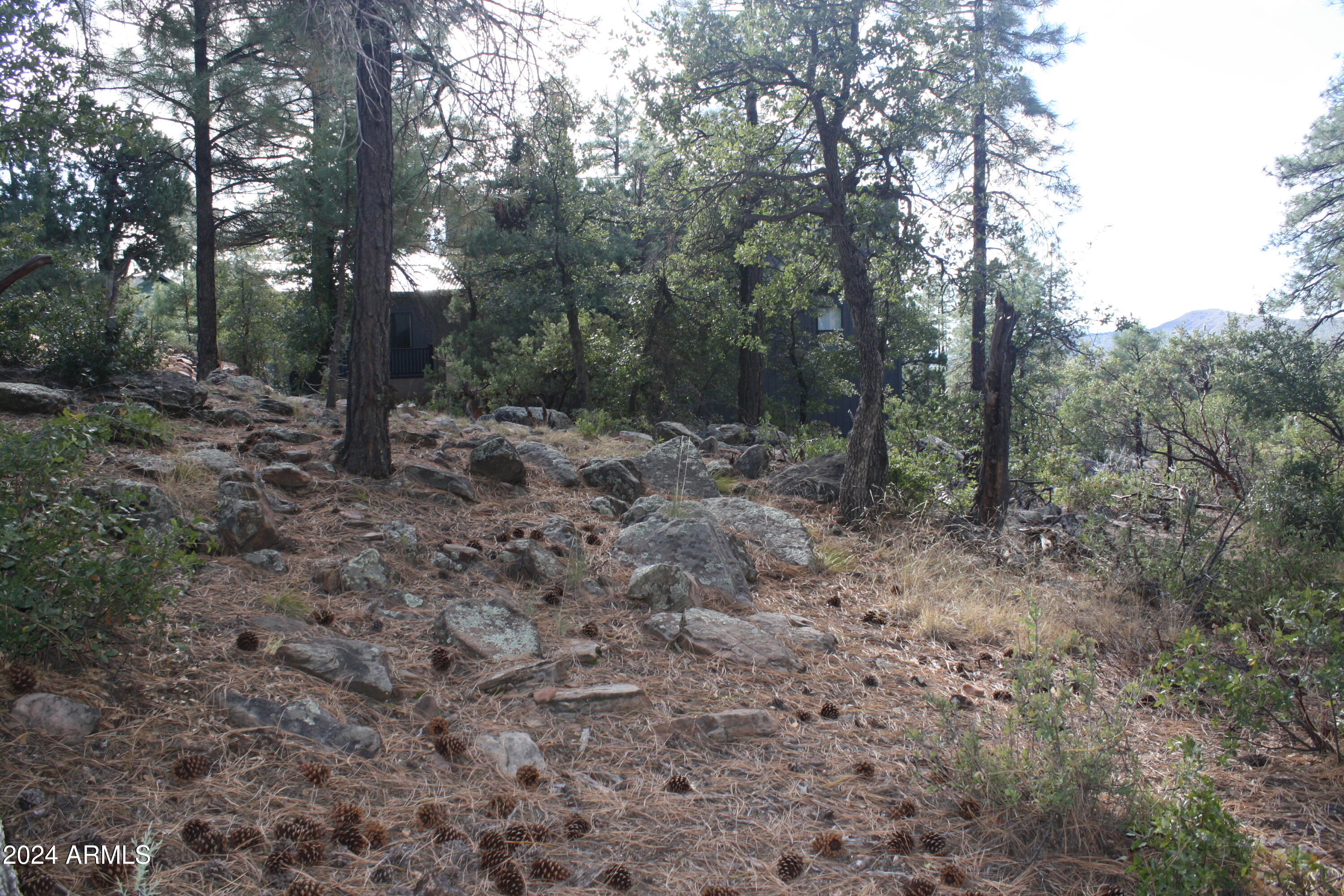 PINE CREEK CANYON PORTAL 4 - Land