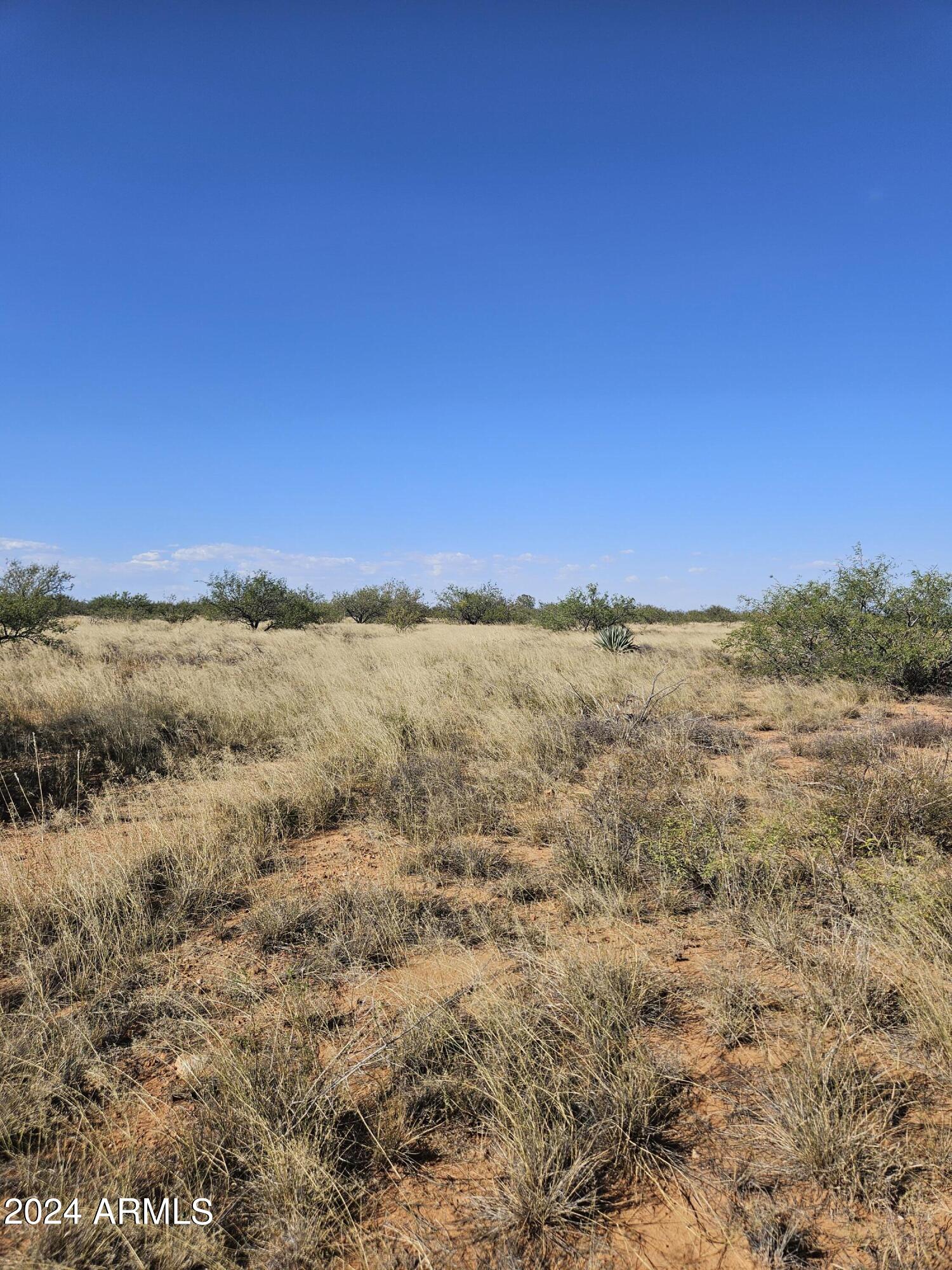 Three Canyons Ranch - Land