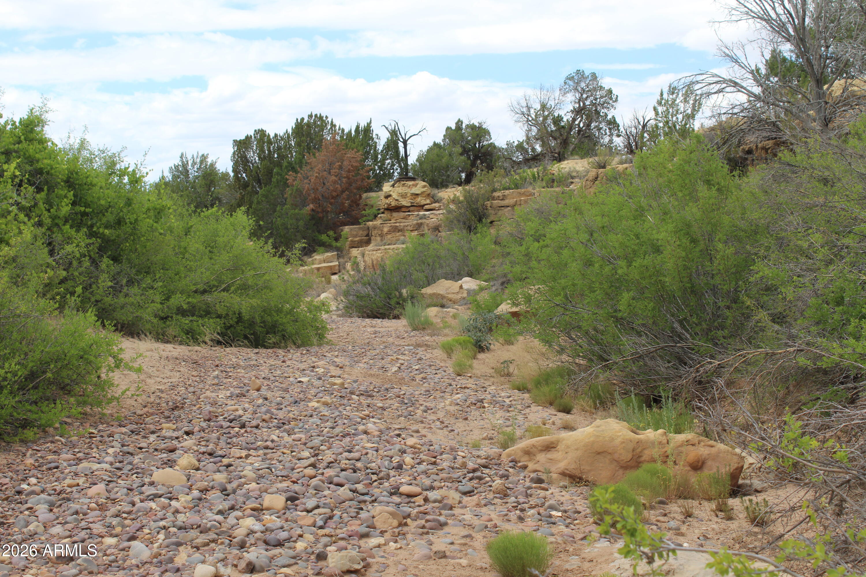 Chevelon Canyon Ranch - Land