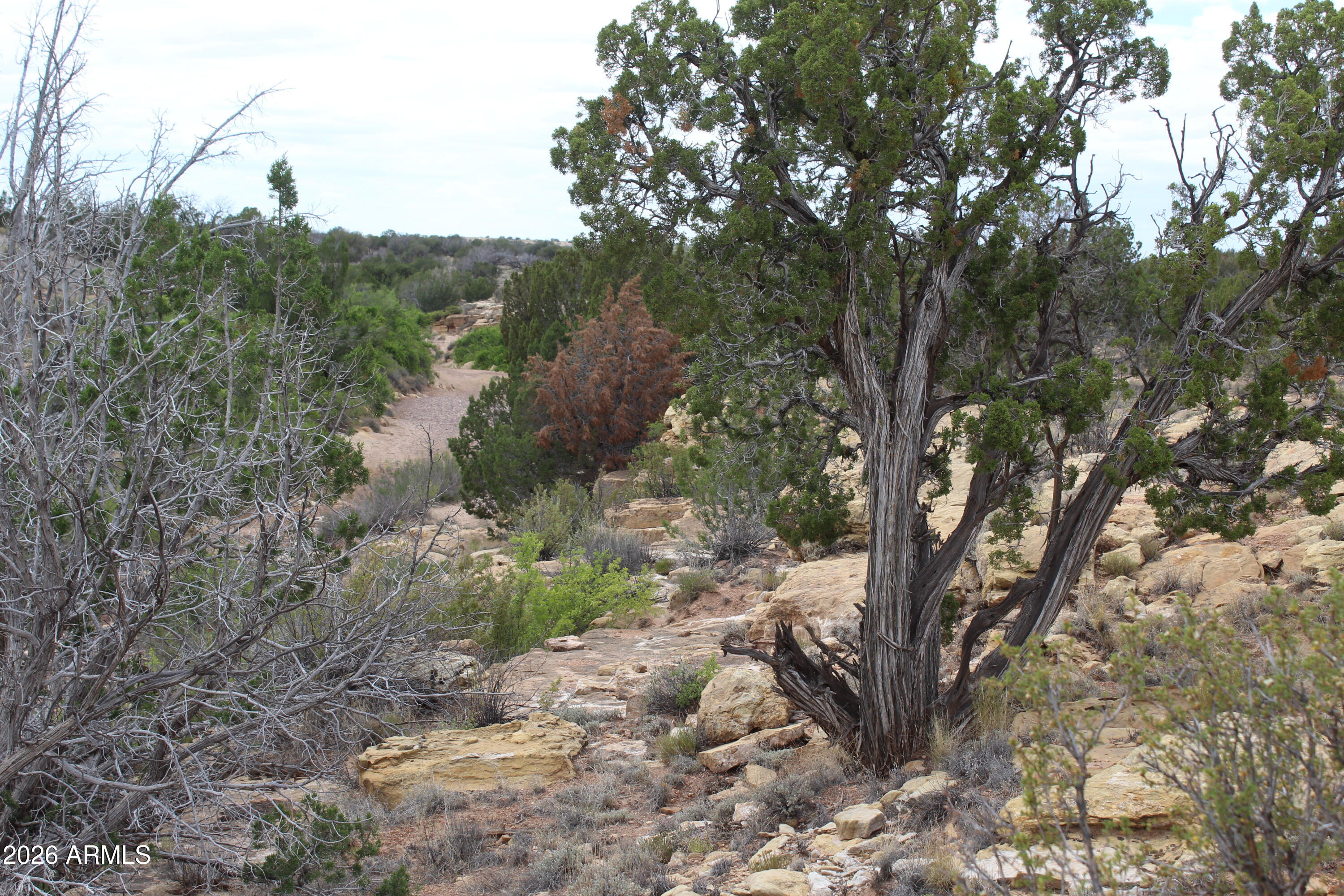 Chevelon Canyon Ranch - Land