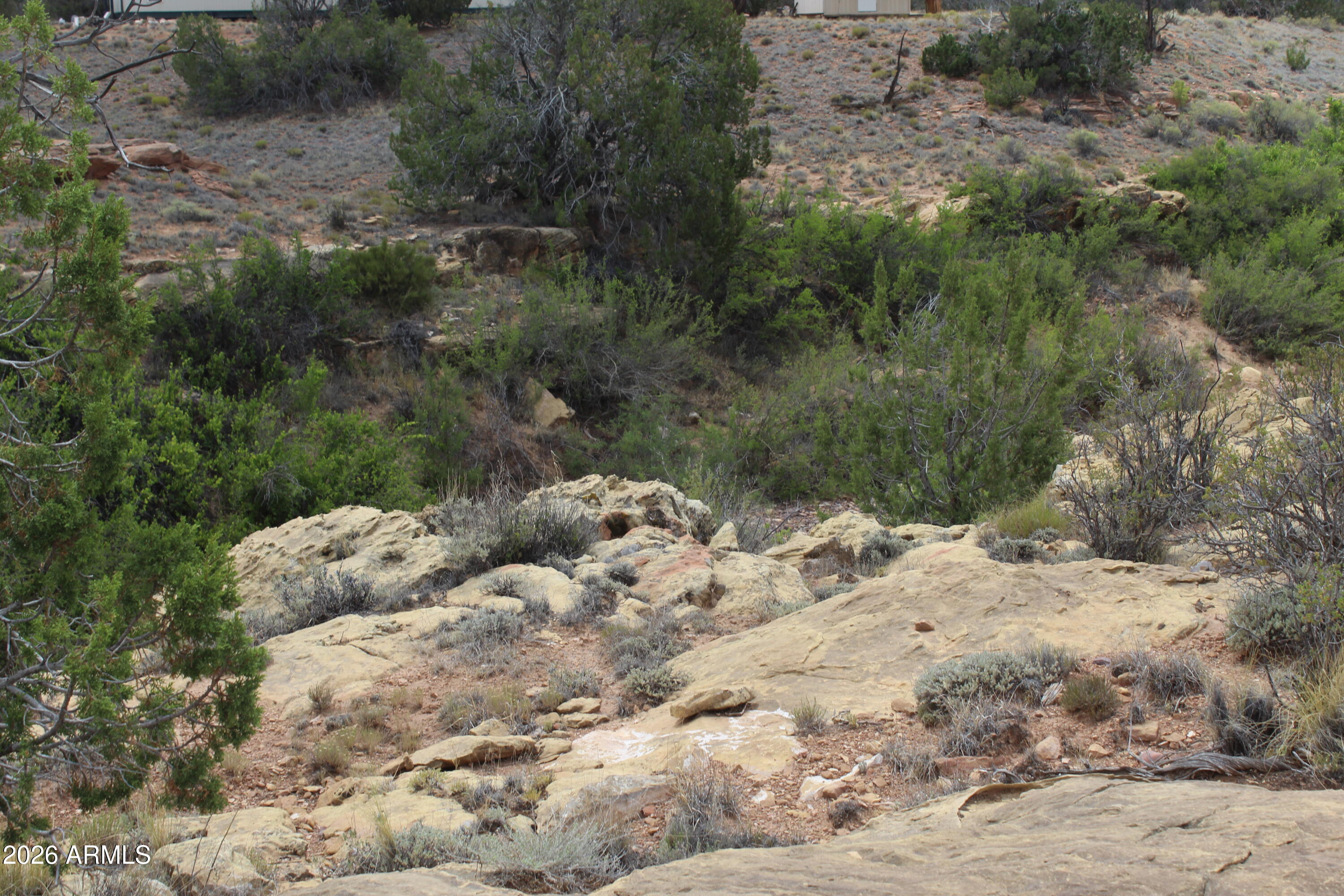 Chevelon Canyon Ranch - Land