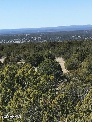 Expansive 39.86-acre (1,736,215 sq. ft.) lot offering endless possibilities! Enjoy breathtaking views, abundant trees, and open space — perfect for building your dream home, ranch, or private compound. Conveniently located near a main road with easy access to the property, combining privacy with accessibility. Plenty of room to design, develop, or simply escape and enjoy wide-open Arizona living. Don't miss this incredible opportunity to own a large, scenic parcel with natural beauty and versatility!