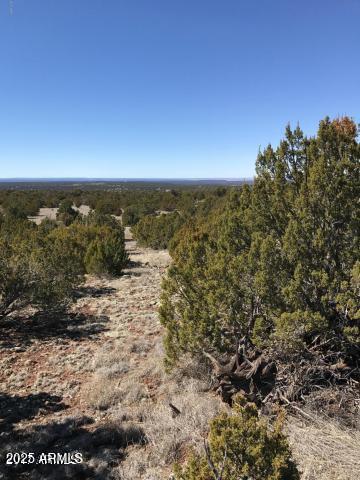 IDLEWILD RANCH UNIT 1 - Land