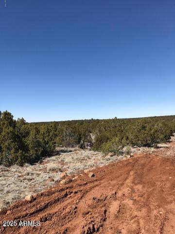 IDLEWILD RANCH UNIT 1 - Land